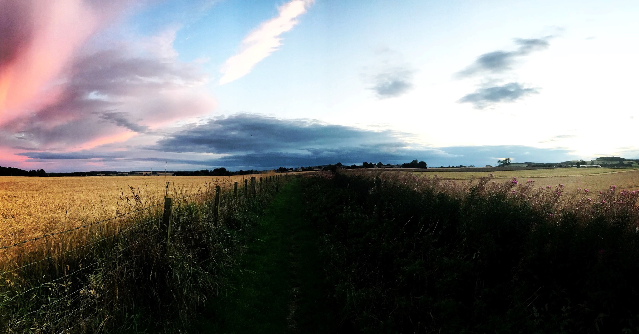 CLEAR Letham | Forfar