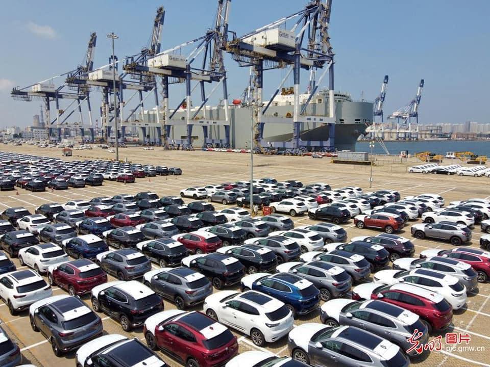 Segrex Auto Belgium Branch... - Segrex Auto Belgium Branch