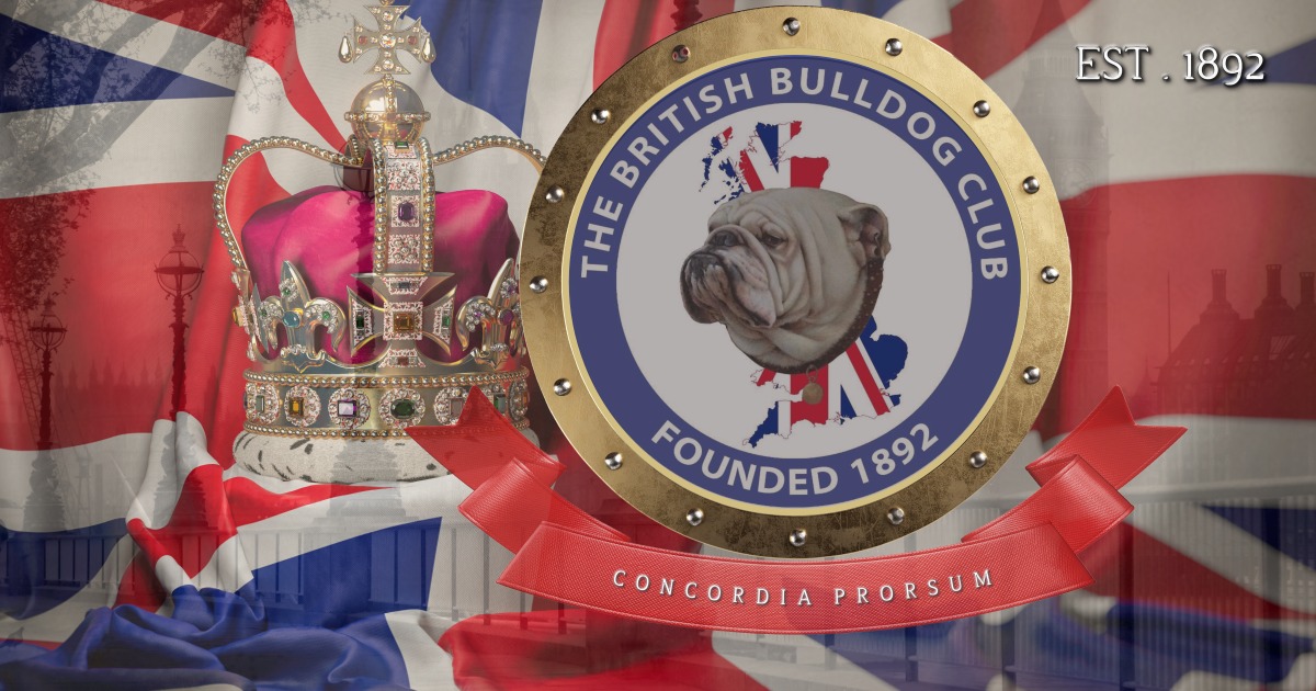 British Bulldog Club