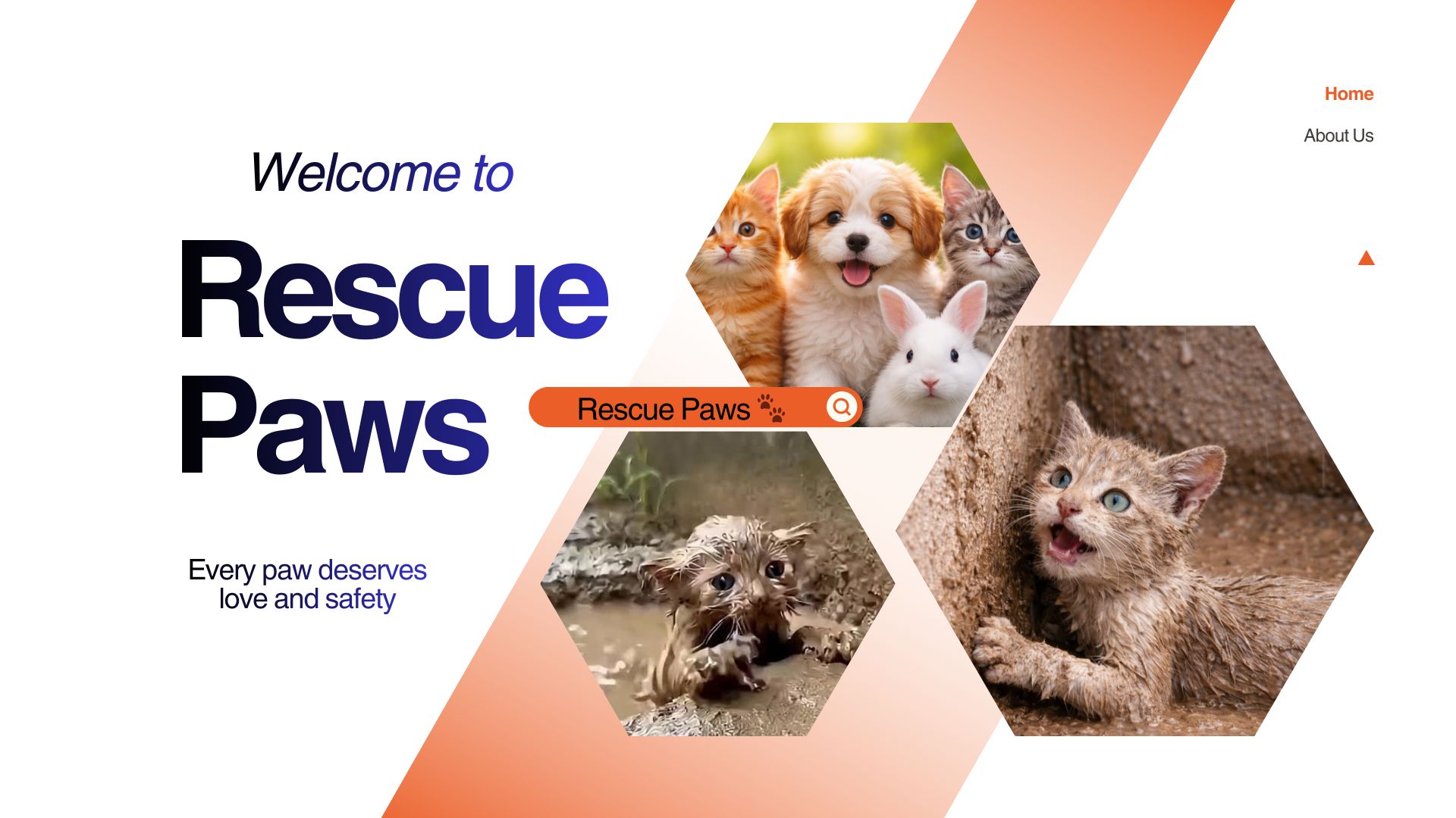 Rescue Paws | Dhaka