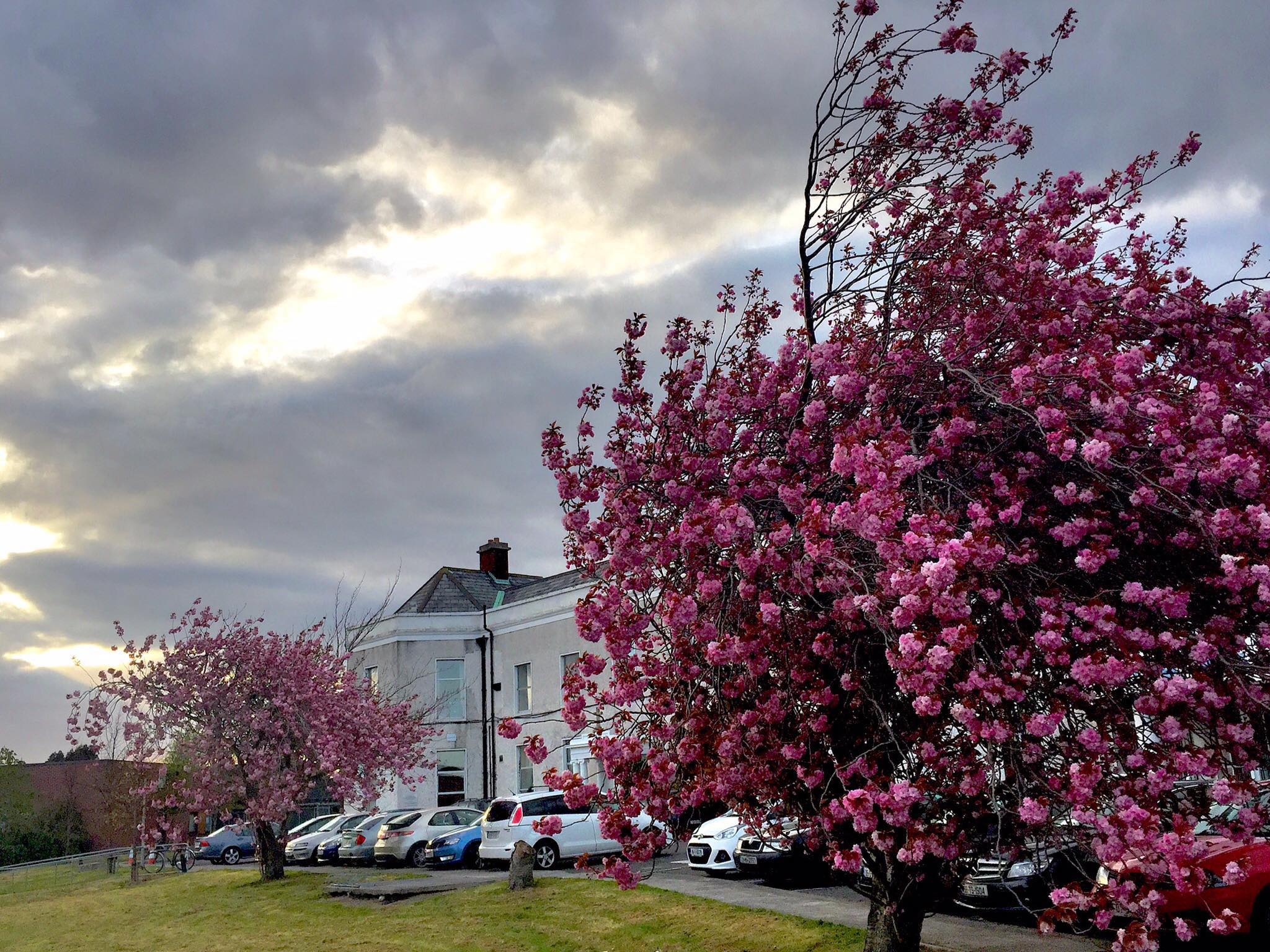 St. Joseph Hospital - Raheny | Dublin