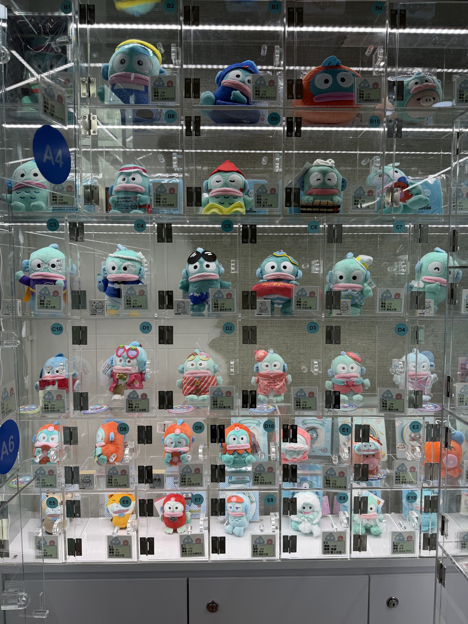 水點 waterspots2025