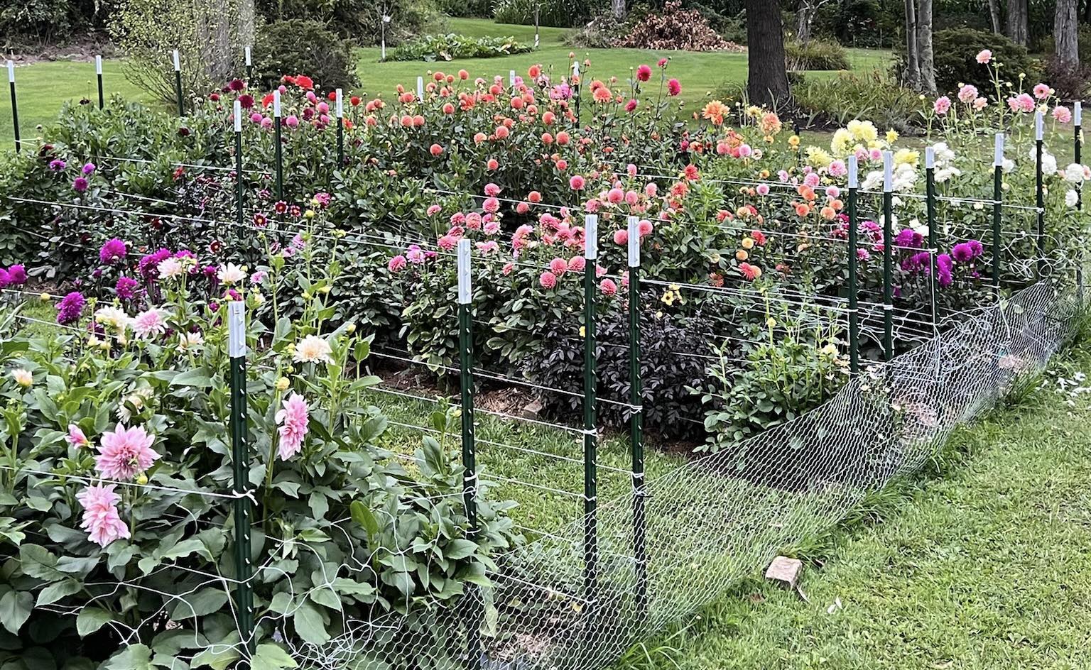 TL Blooms Flower Farm | Butler PA
