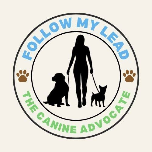 The promise behind my 1-2-1 dog training For me, training isn’t just ...