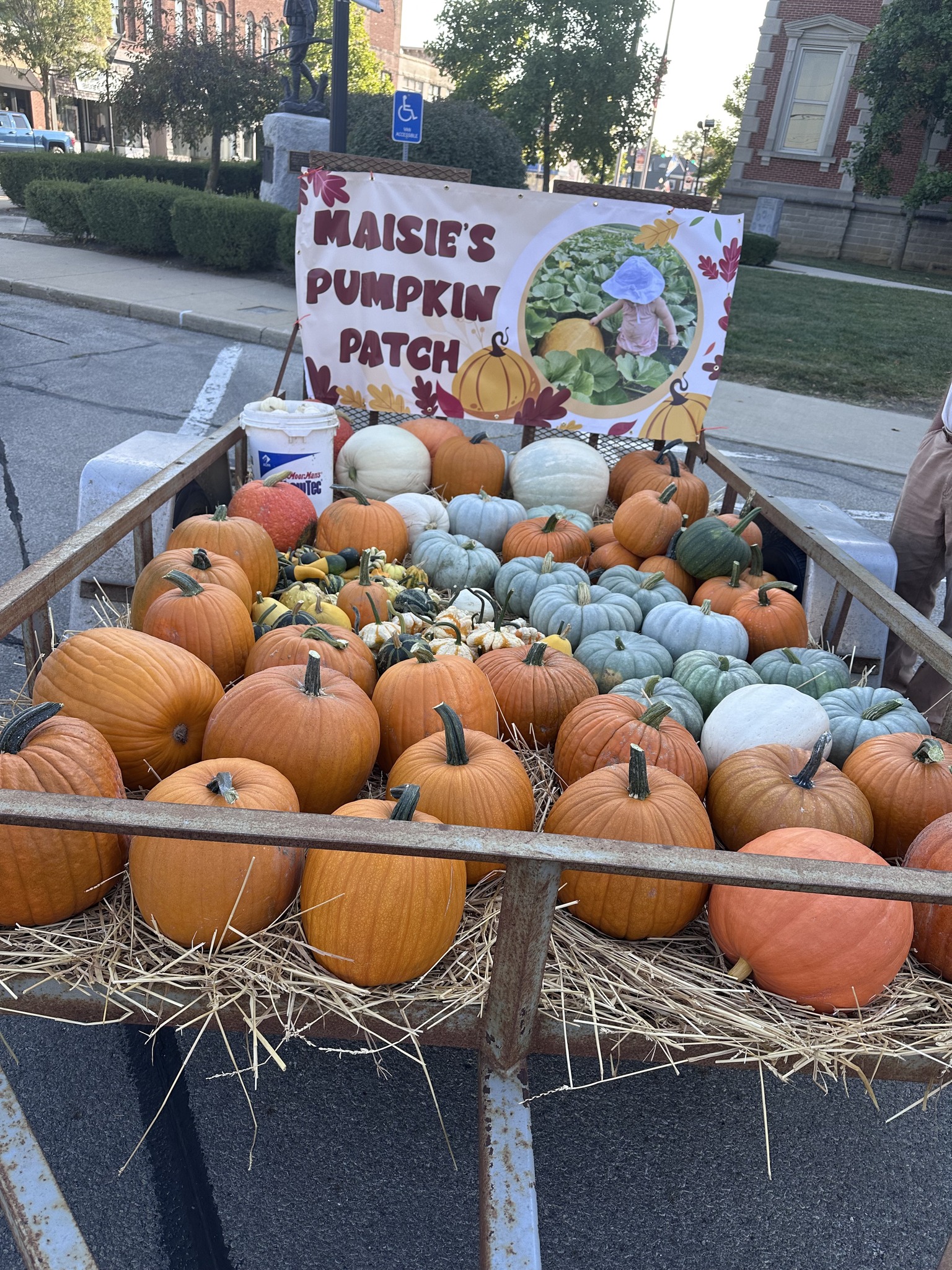 Maisie’s Pumpkin Patch