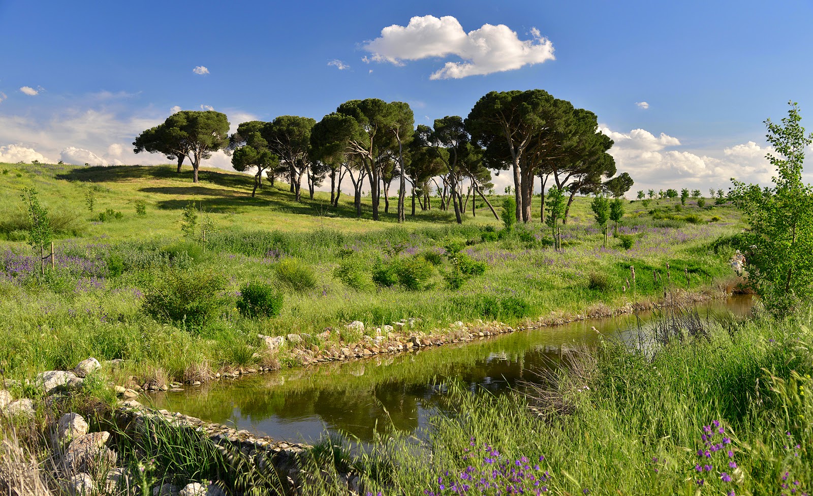 Explora Parque Valdebebas | Madrid