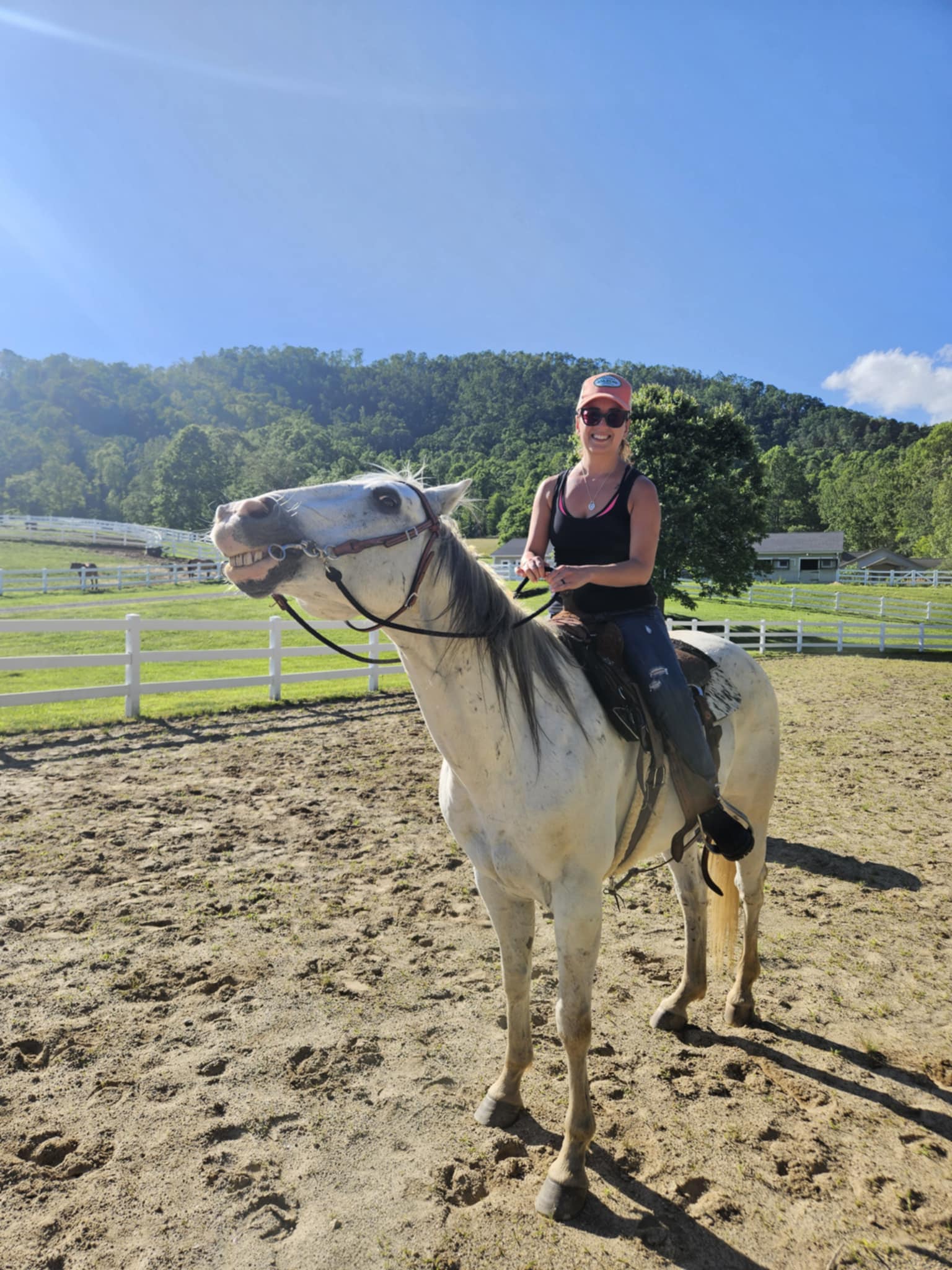 Jaxson’s - Meet Jaxson! Jaxson is our OG lesson horse. If he’s not ...