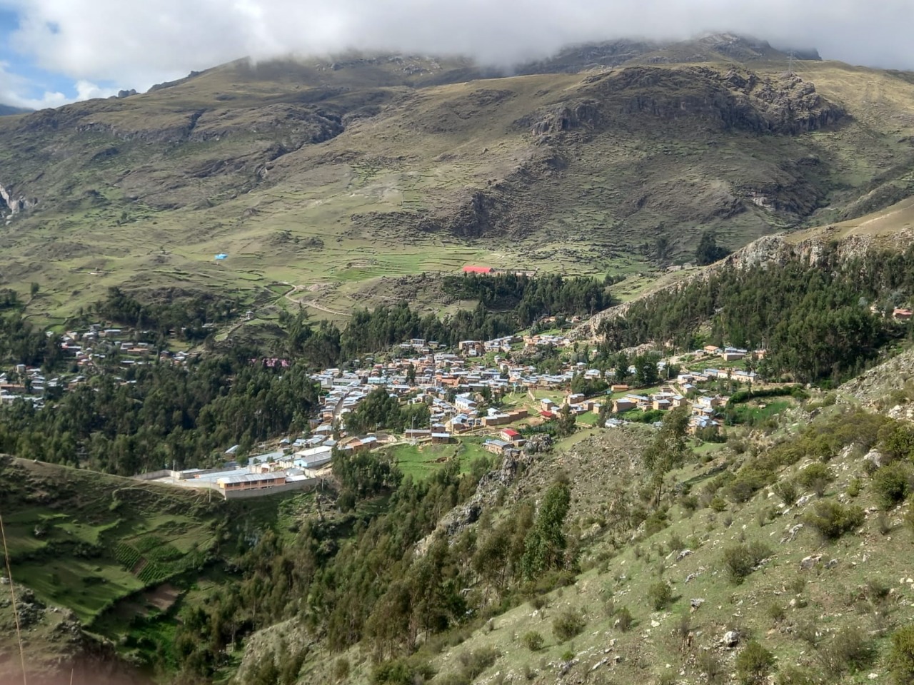 Virundo - Foto 4