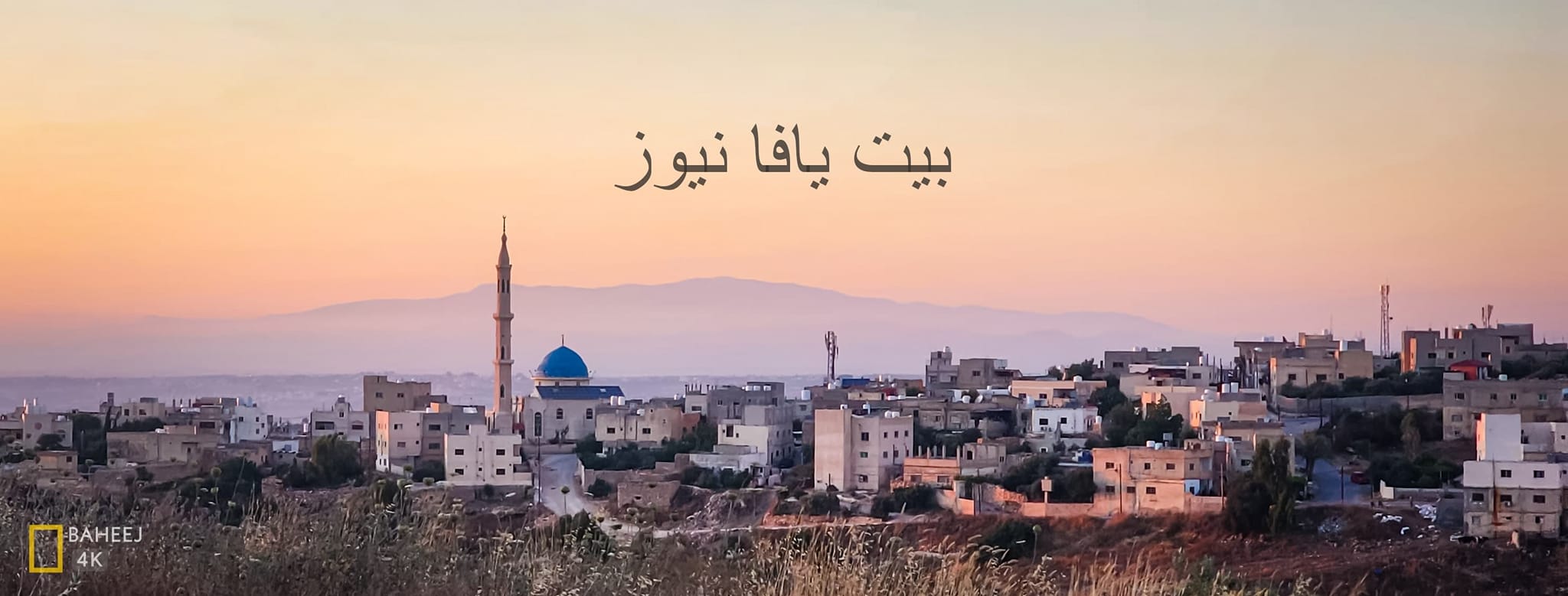 بيت يافا نيوز