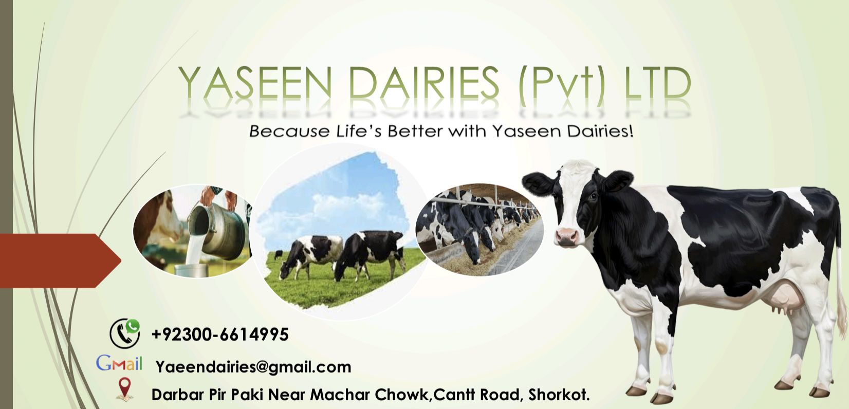 Yaseen Dairies Private Limited. | Shorkot Road