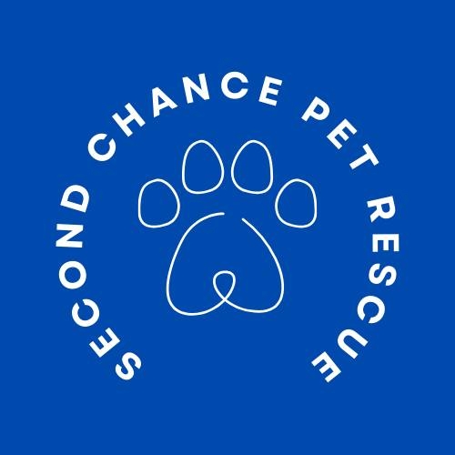***💜 ADOPTED! 💜*** Coeur... - Second Chance Pet Rescue | Facebook