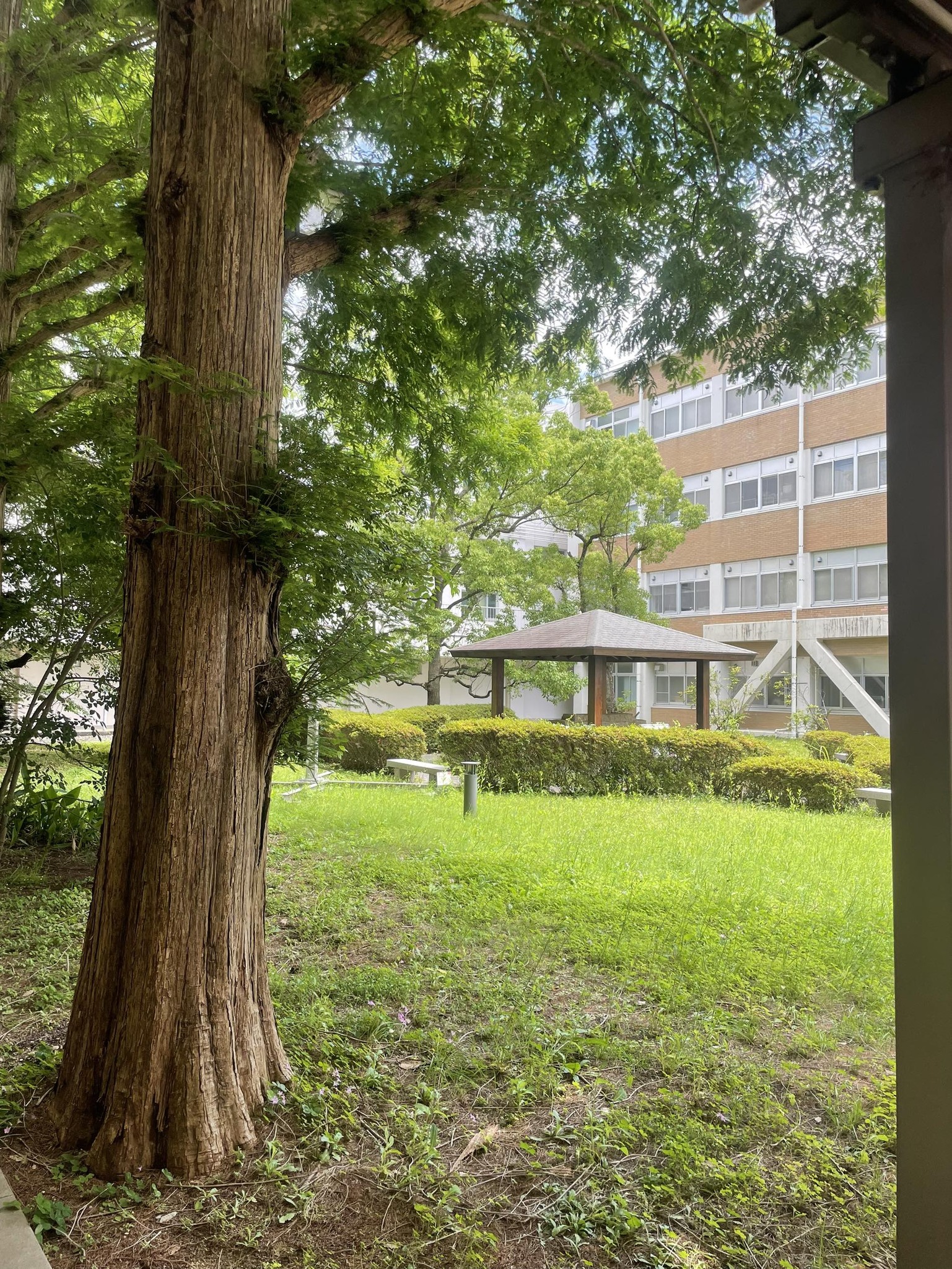 大阪大学文学部同窓会（待文会）