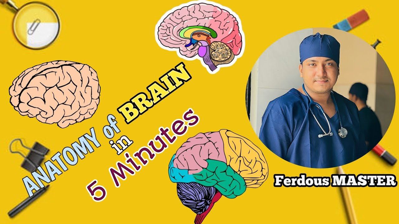 Ferdous 𝙈𝘼𝙎𝙏𝙀𝙍