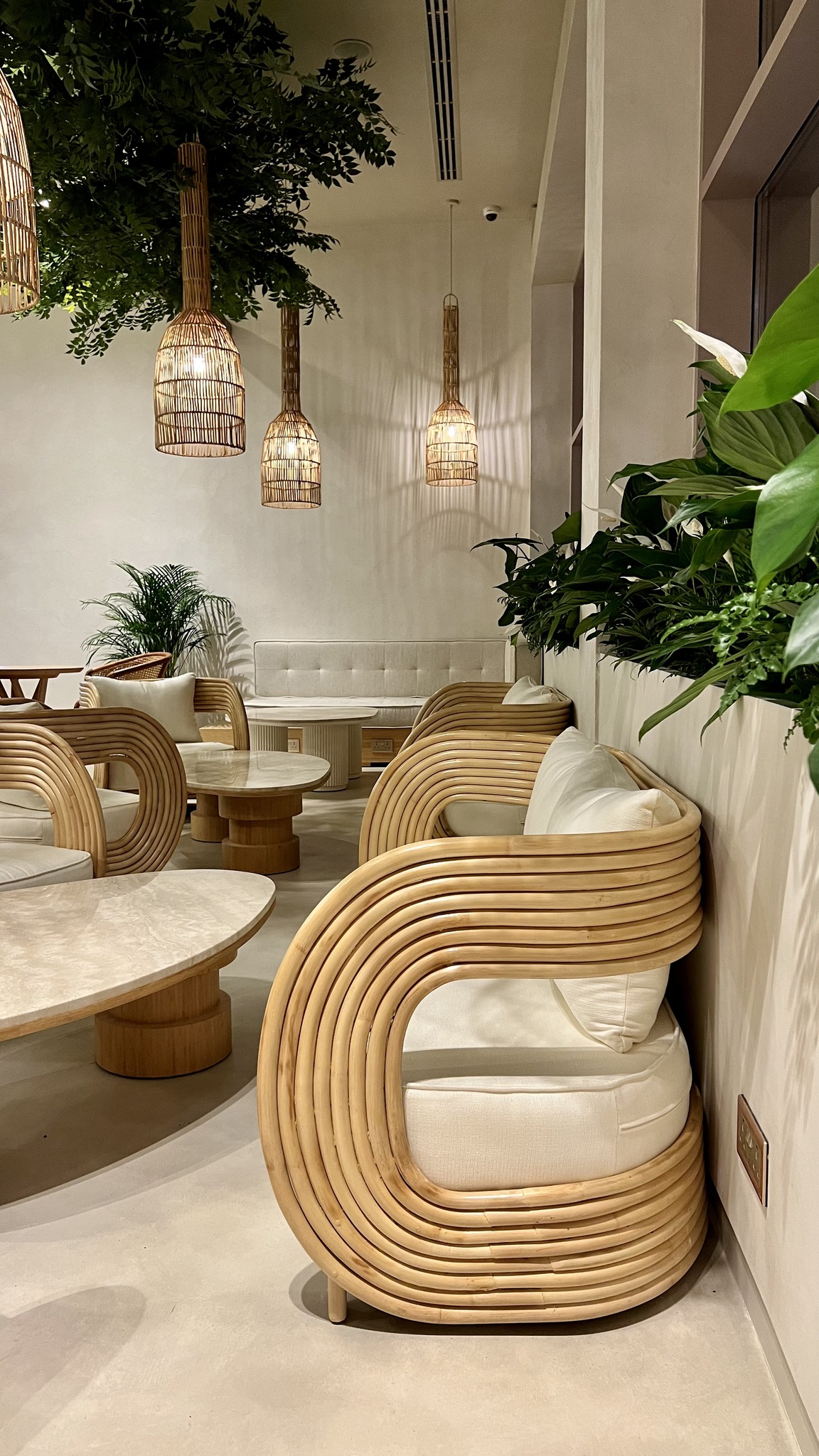BTR Back to Roots Coffee | Dubai