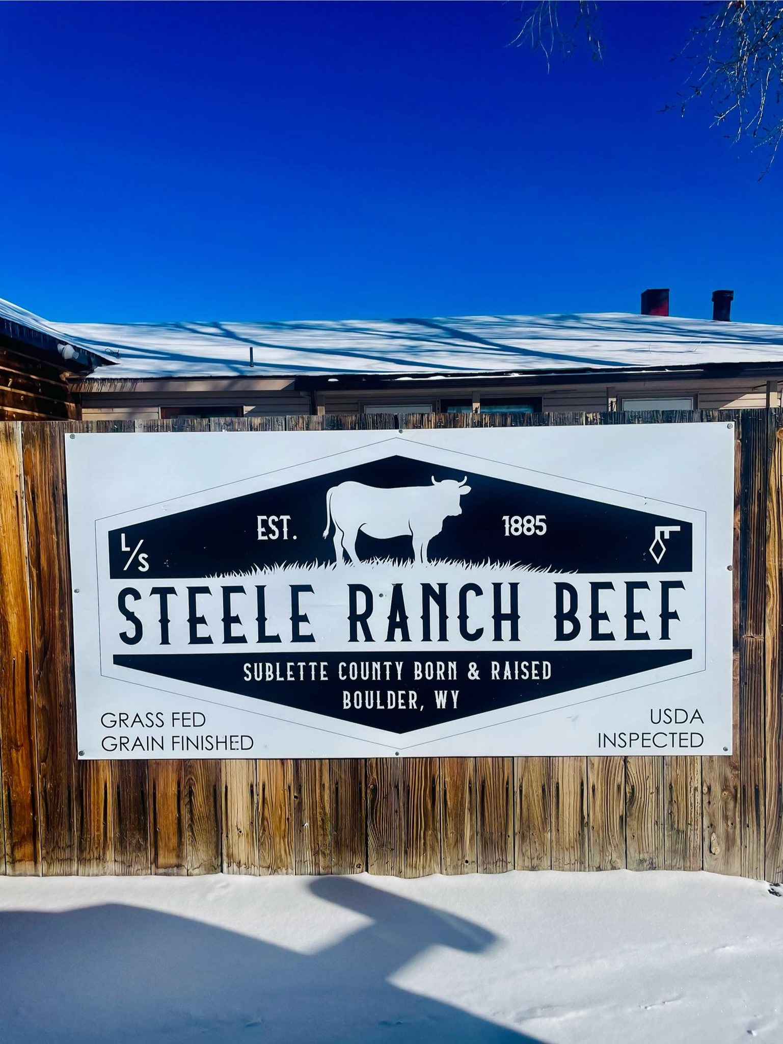 Steele Ranch Skijoring | Boulder WY