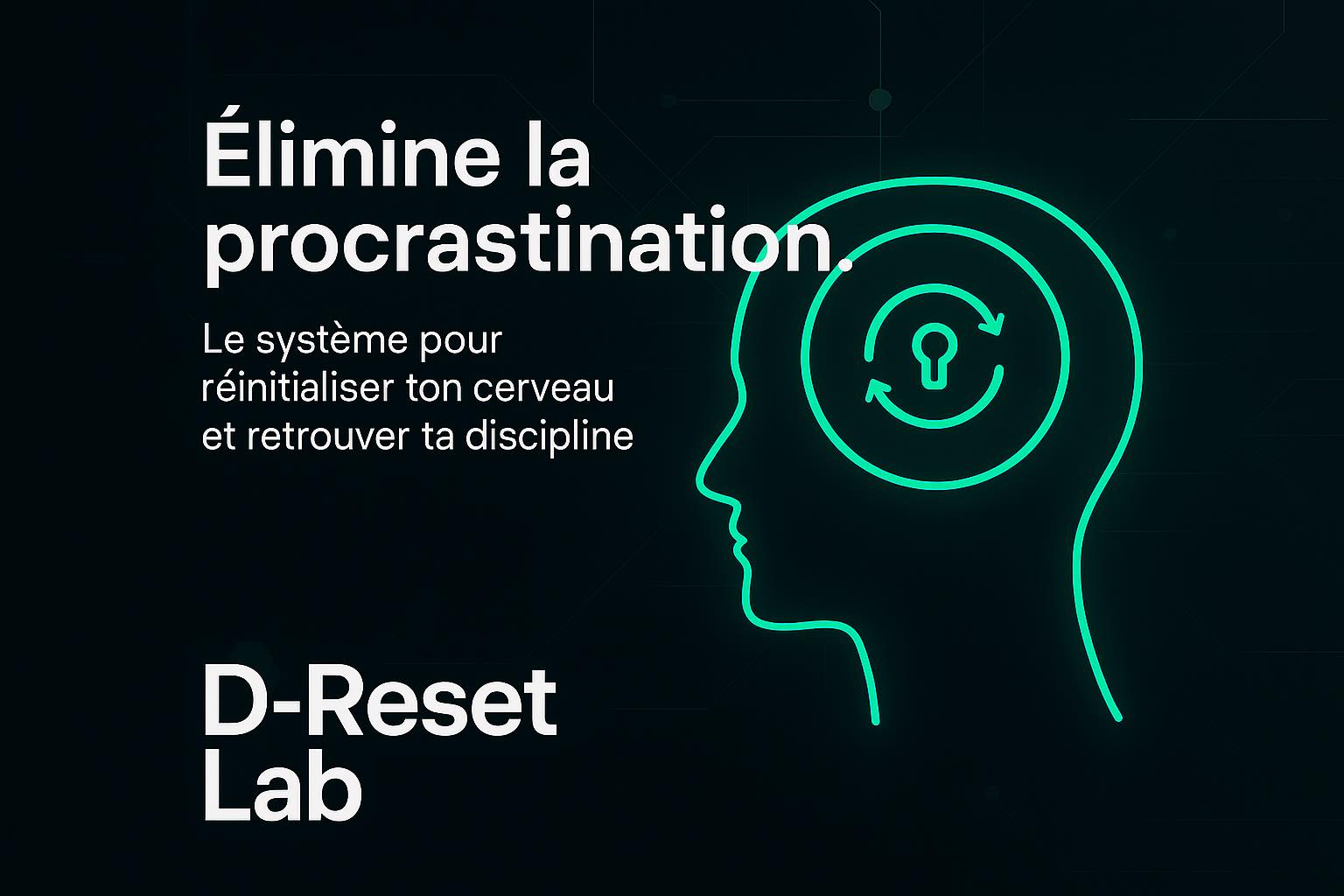D-Reset Lab