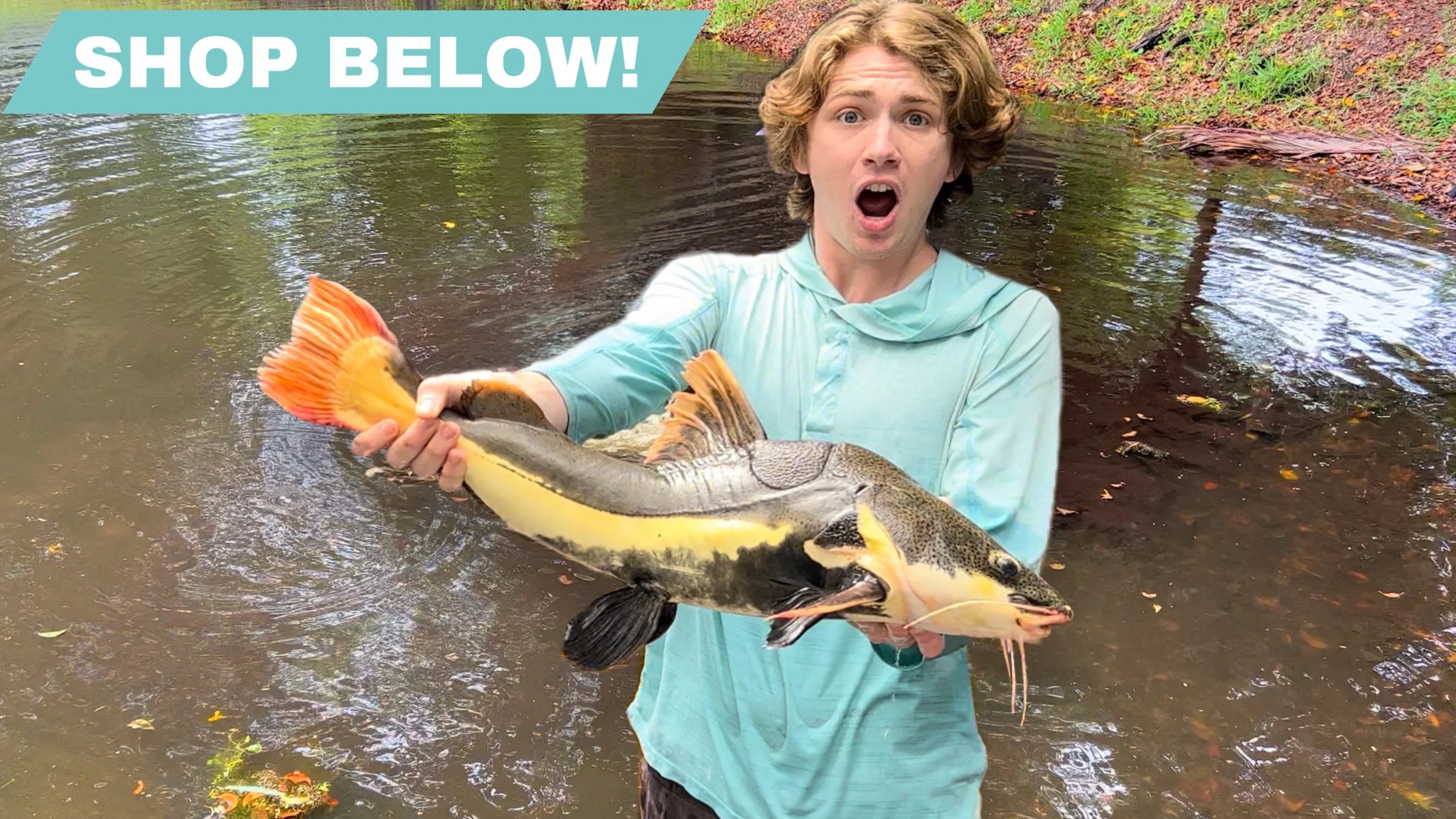 Bass fishing productions