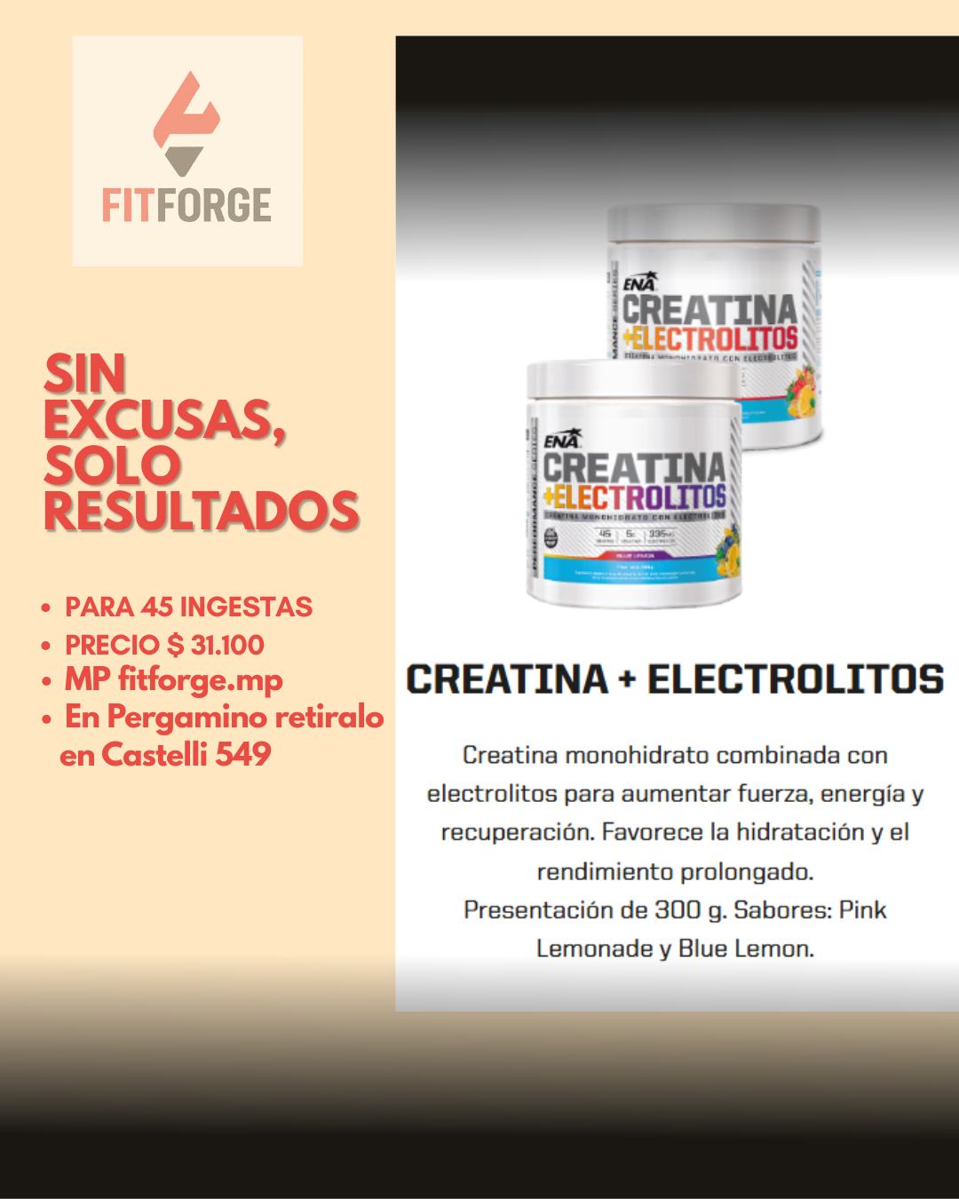 FitForge - Suplementos | Pergamino