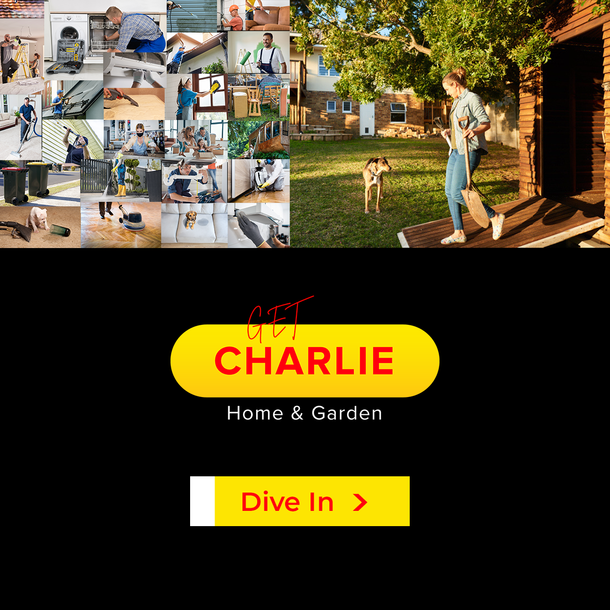 Get Charlie | Auckland
