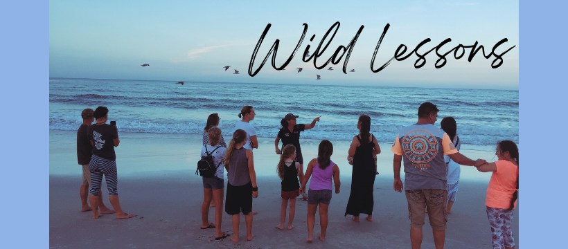 Wild Lessons