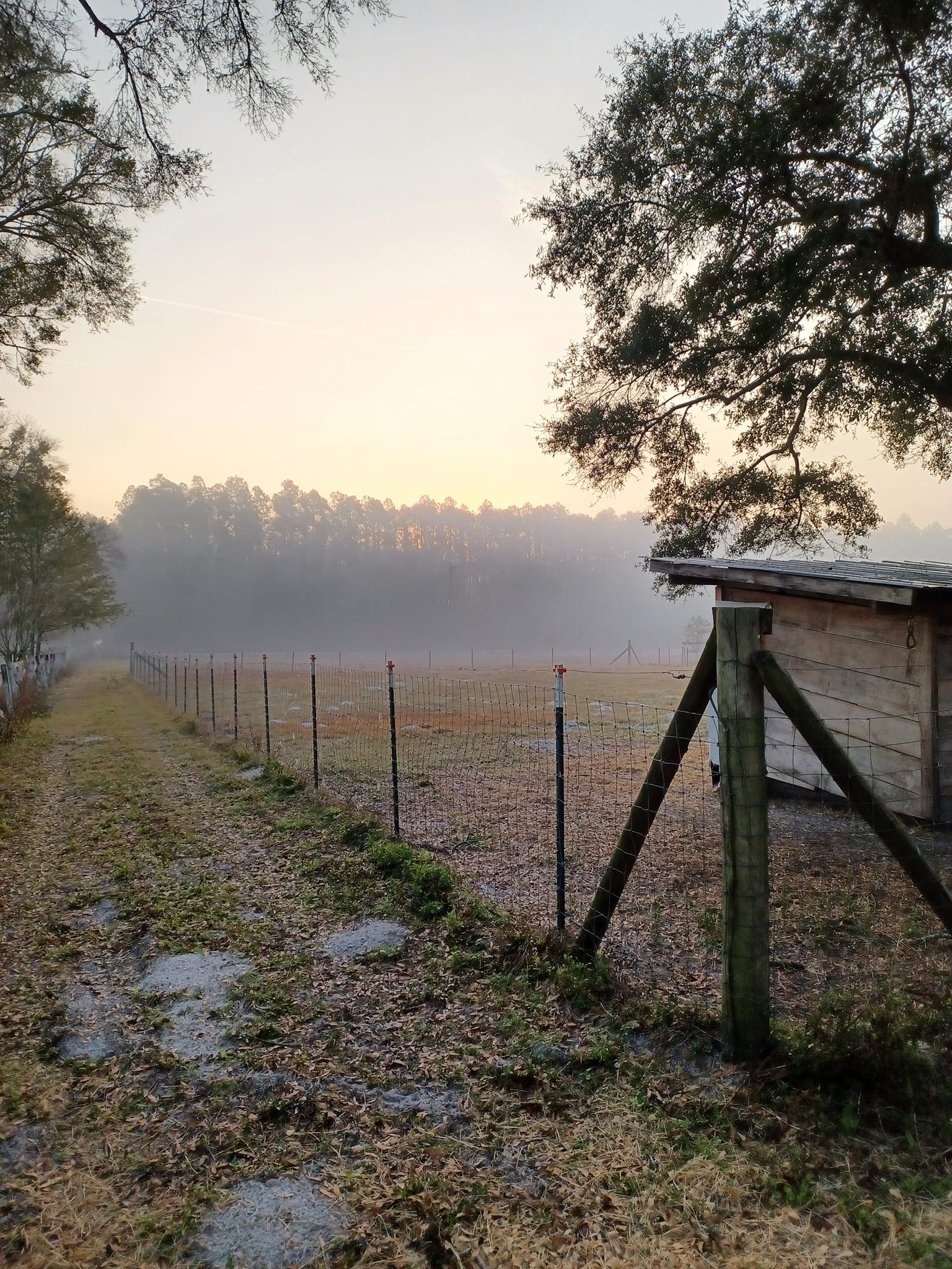 Bluegrass Roots Farm