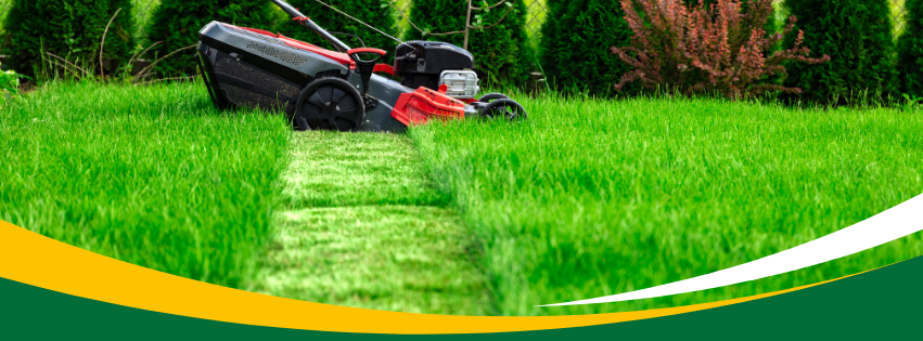 Yard Shark Lawn Care
