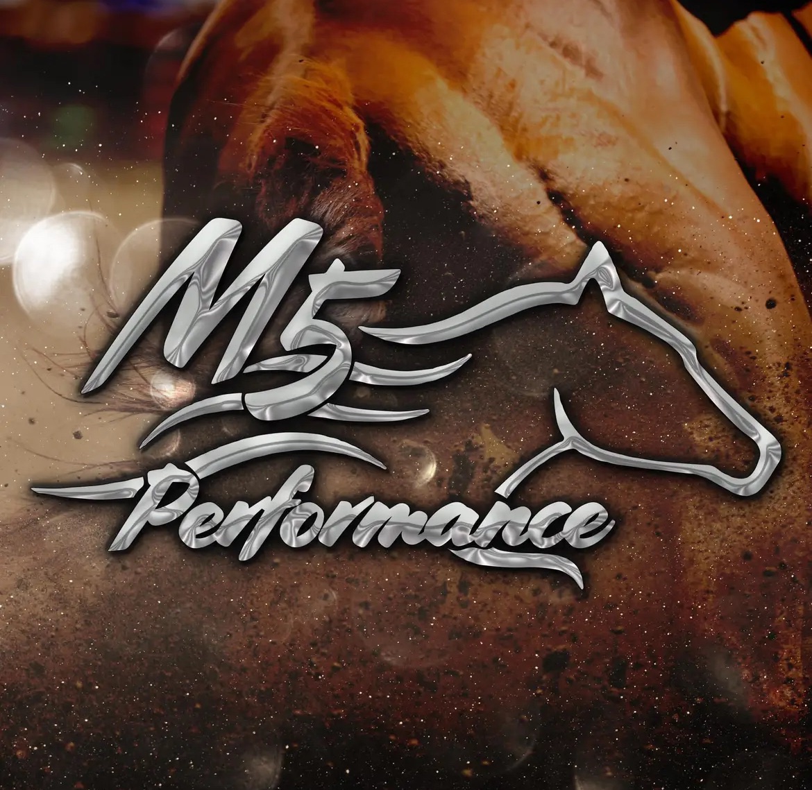 Starting 2026 Coming in hot!!! | M5 Performance Horses | Facebook