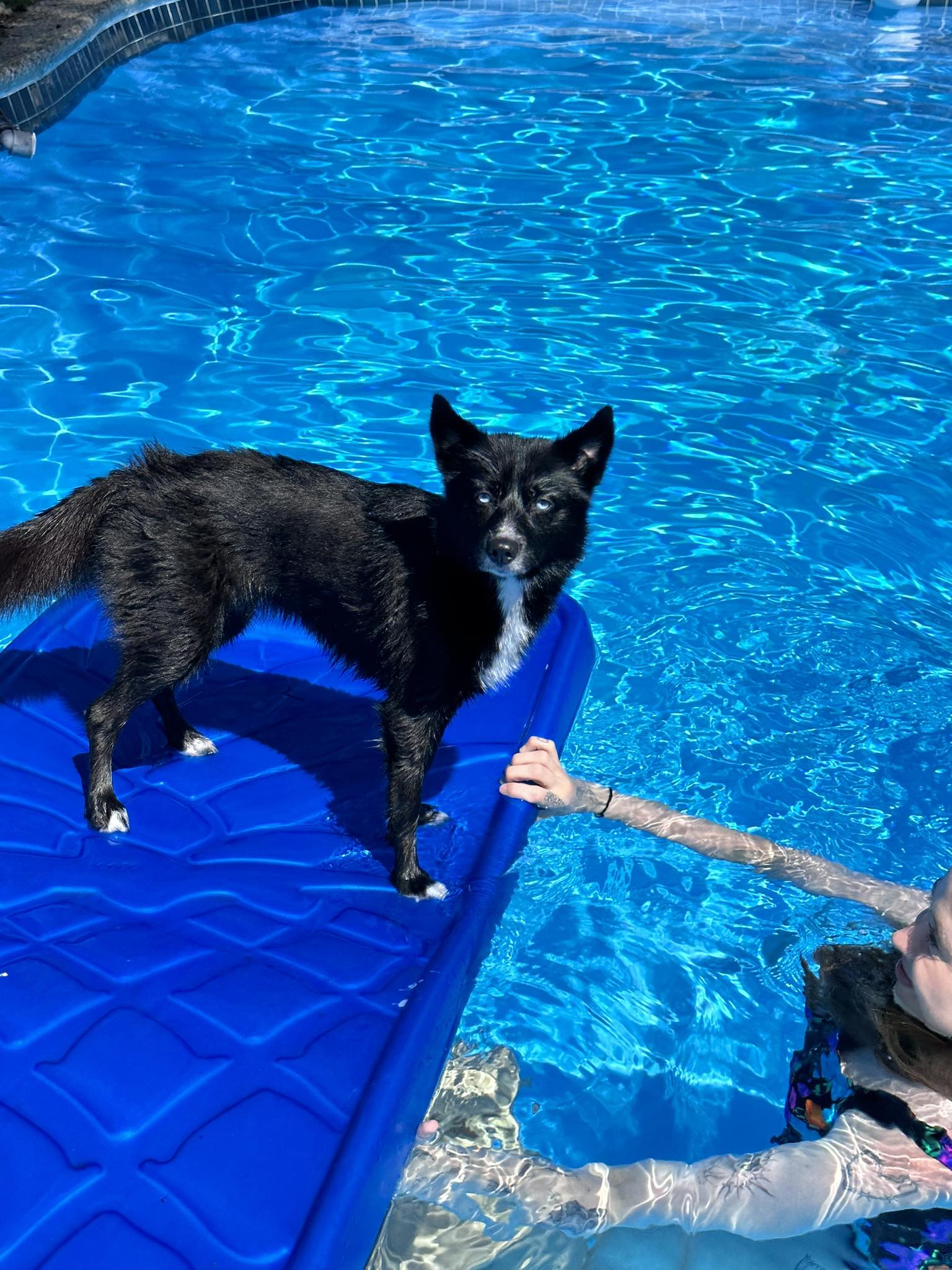 Rosie Rider