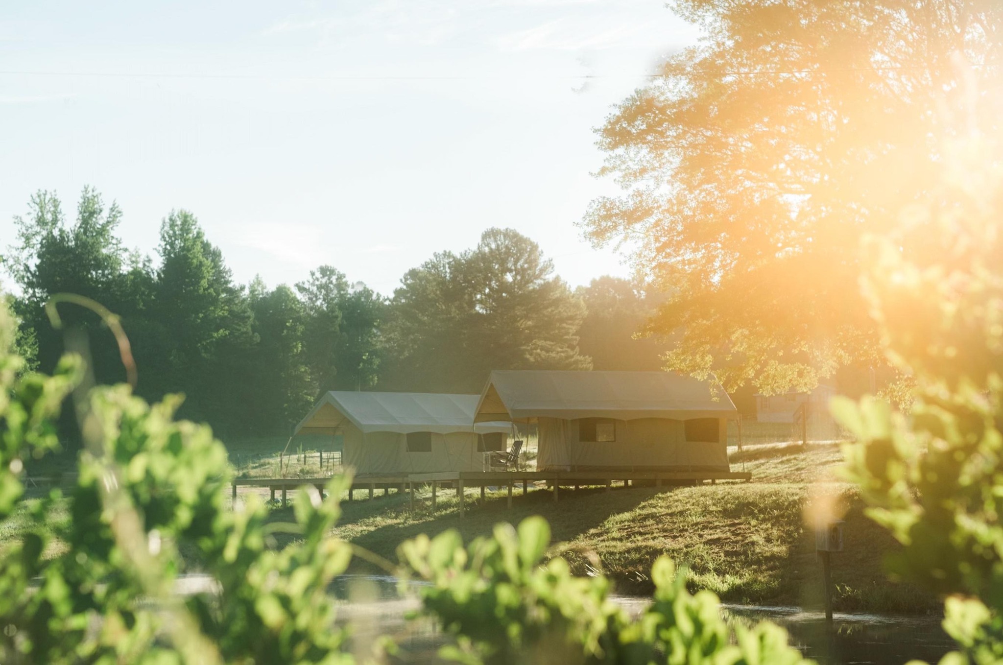 Serenity Lake Farm | Fountain Inn SC