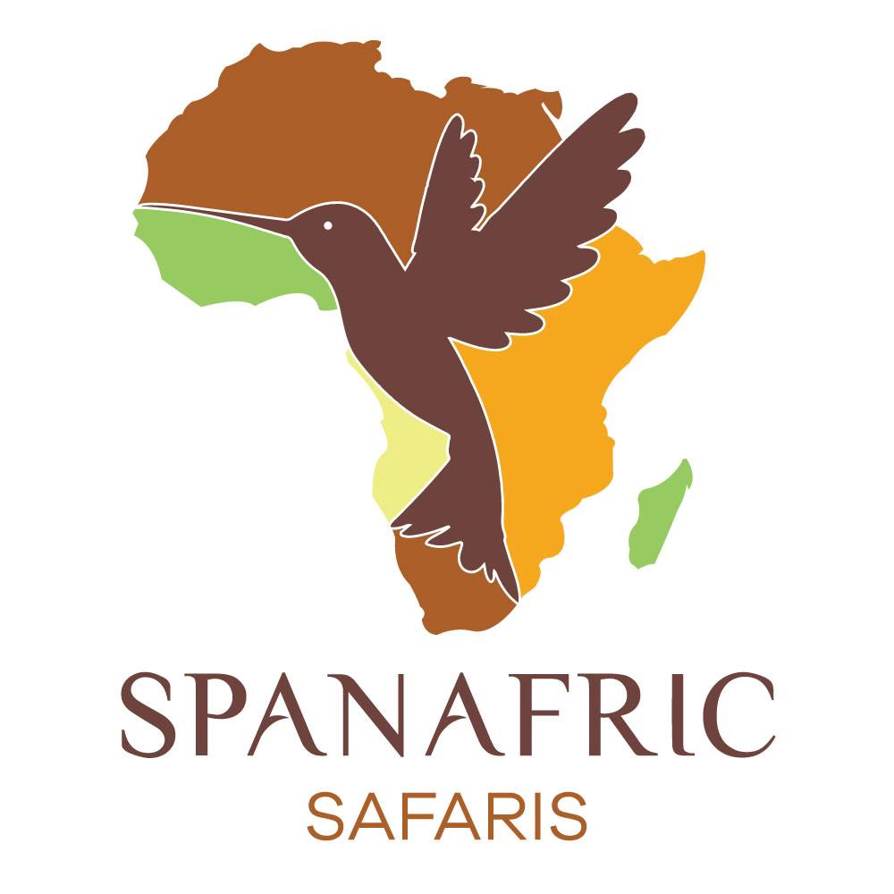 Meet the African Harrier Hawk, bear yellow face, sharp eyes and a call ...