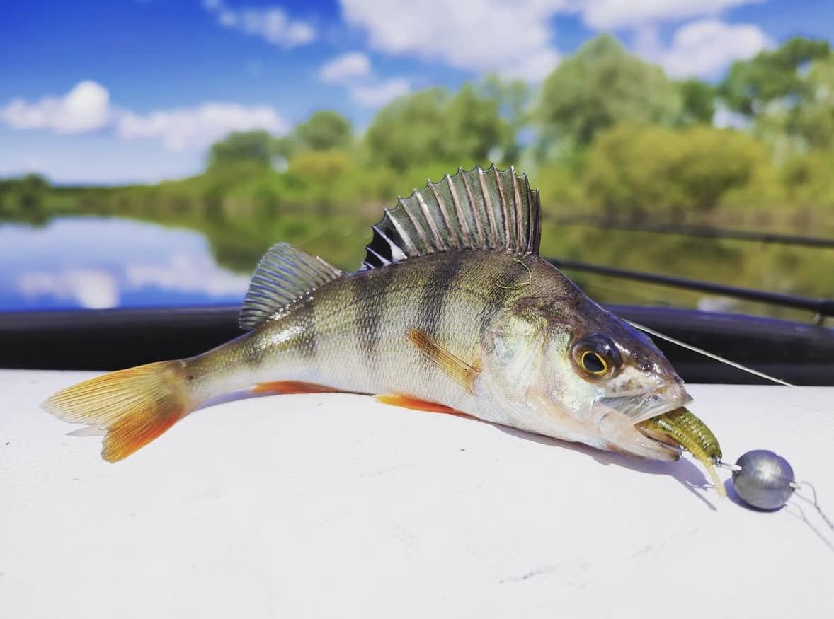 Fishing Today Latvia | Riga