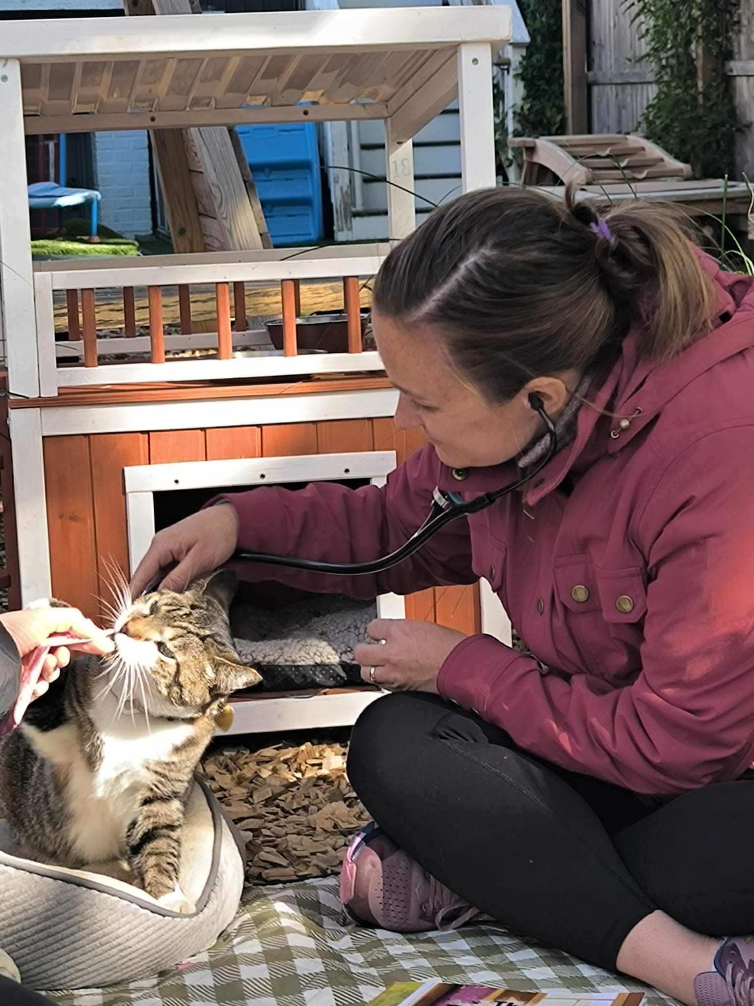 Perry Paws Mobile Veterinary Practice