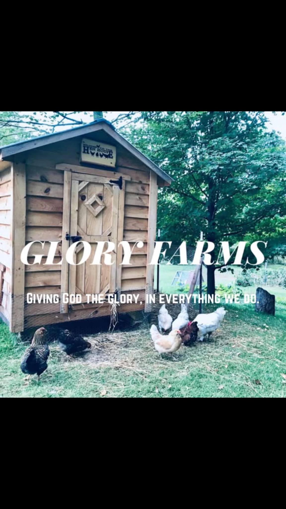 Glory Farms - ☀️Good Morning ☀️ I planned to harvest... | Facebook