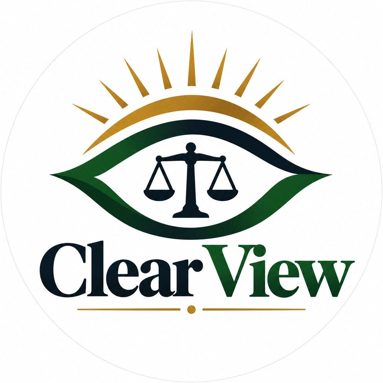 PRO BONO | A strong first step in understanding any court case is ...