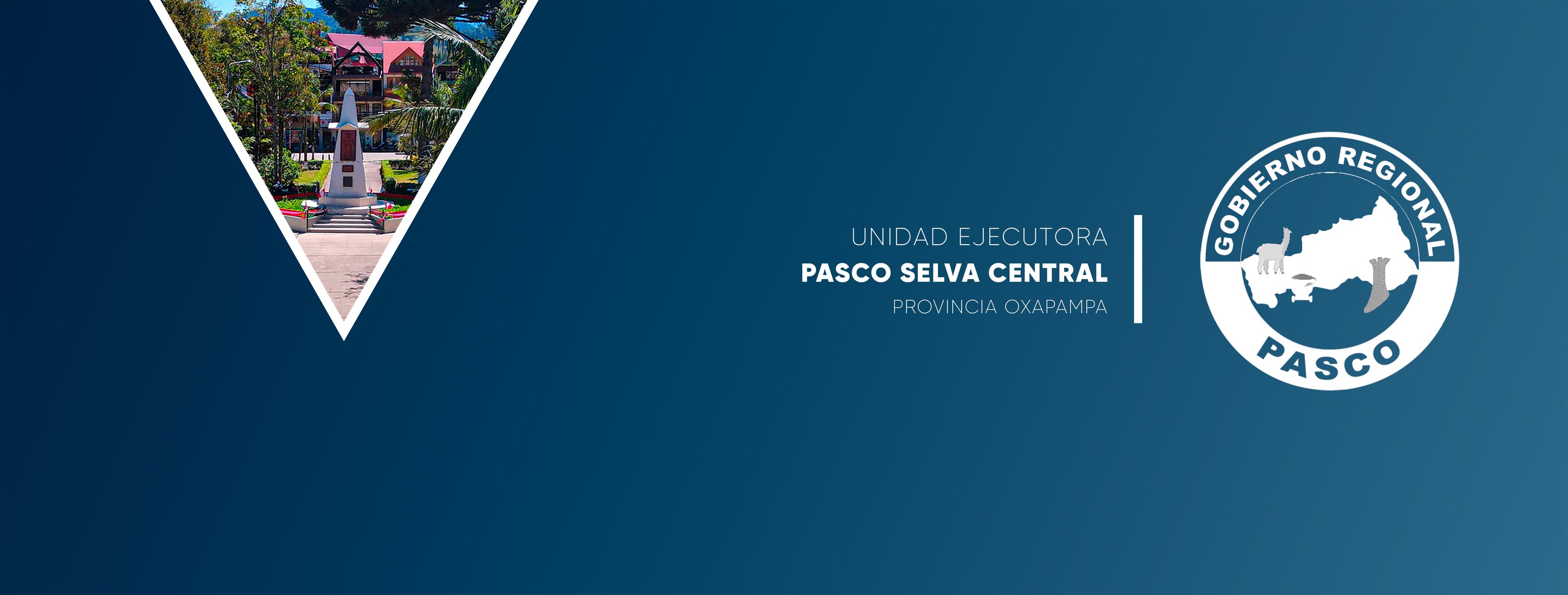 Gerencia Sub Regional - Unidad Ejecutora Pasco Selva Central Oxapampa ...