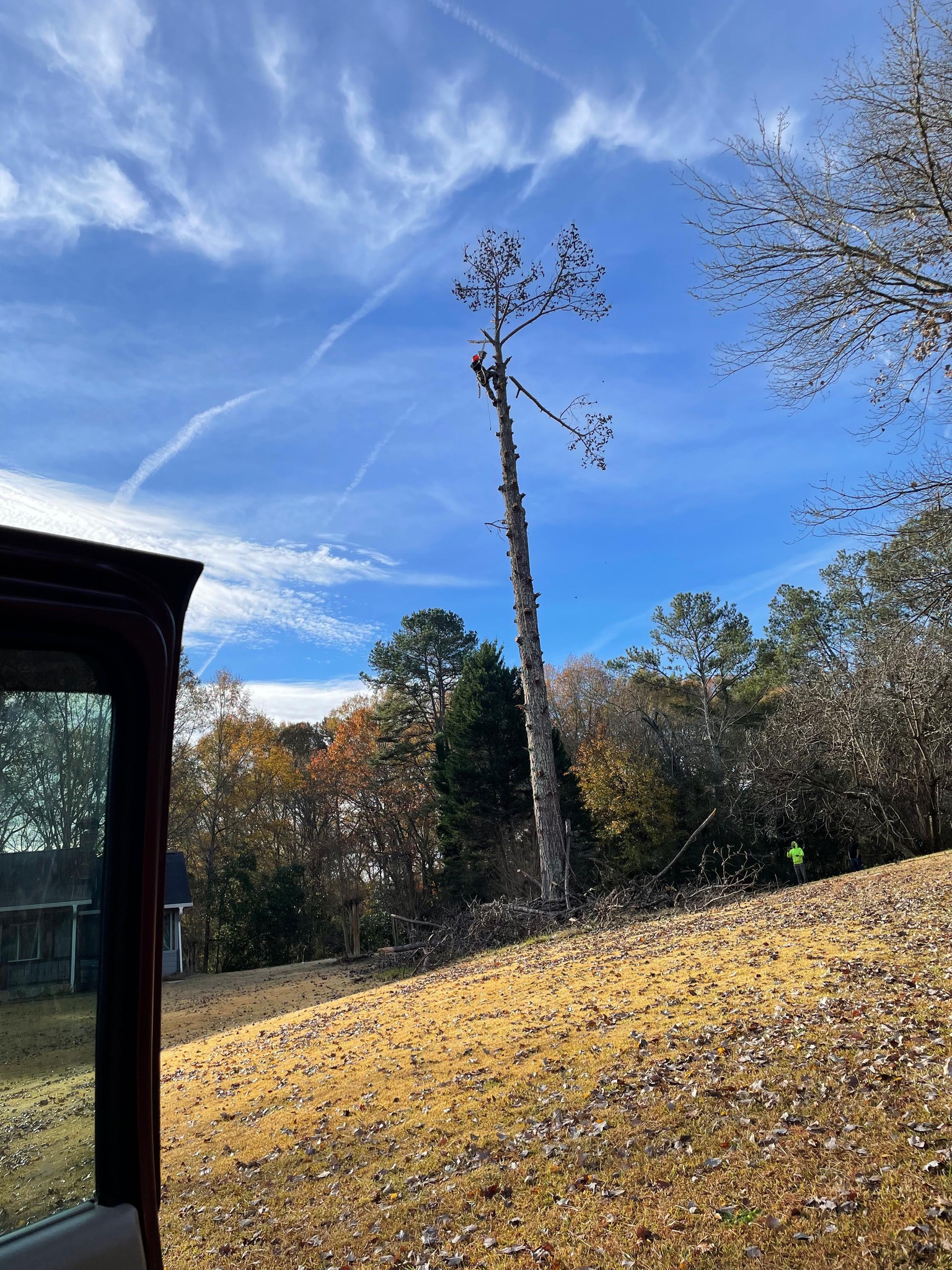 Austell Tree Service LLC | Atlanta GA