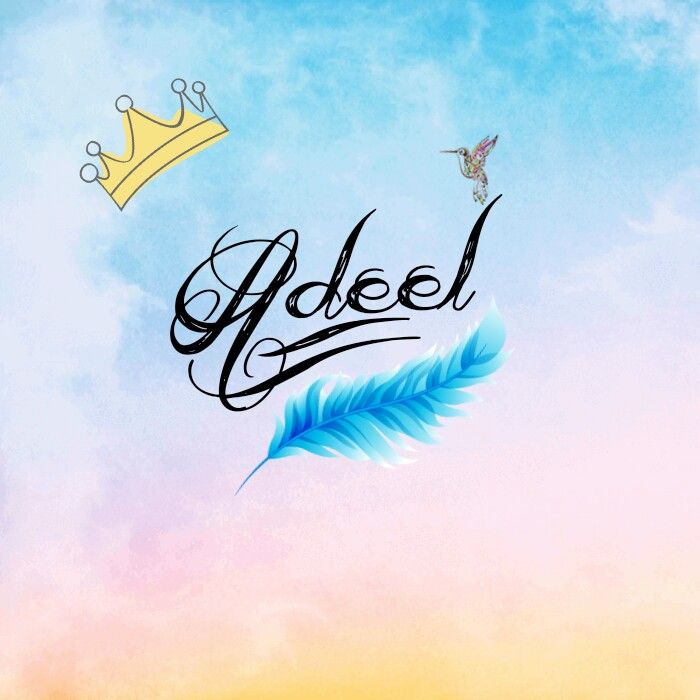 Adeel official | Layyah