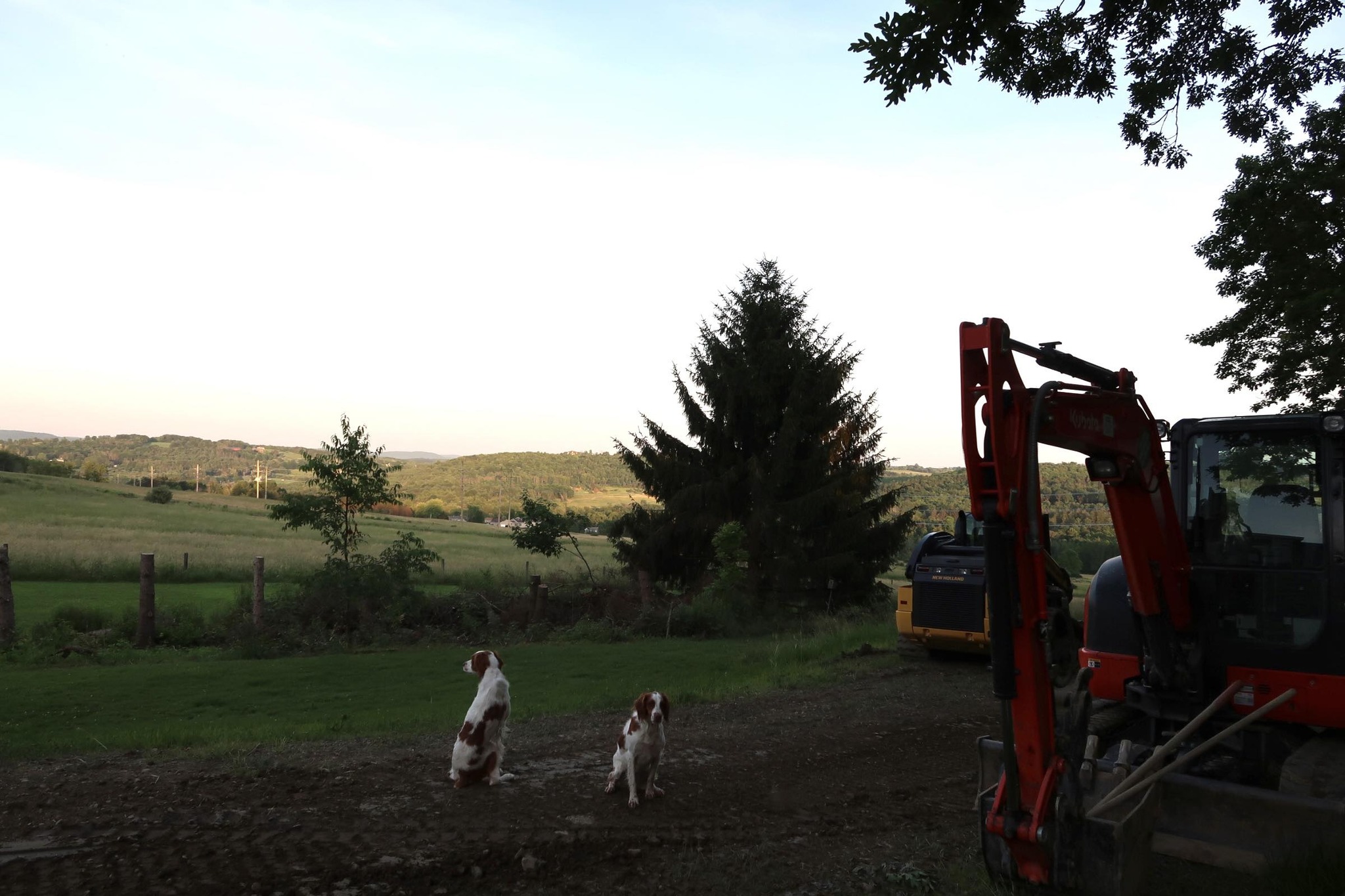 Twin Ridge Tree & Land Service | Binghamton NY