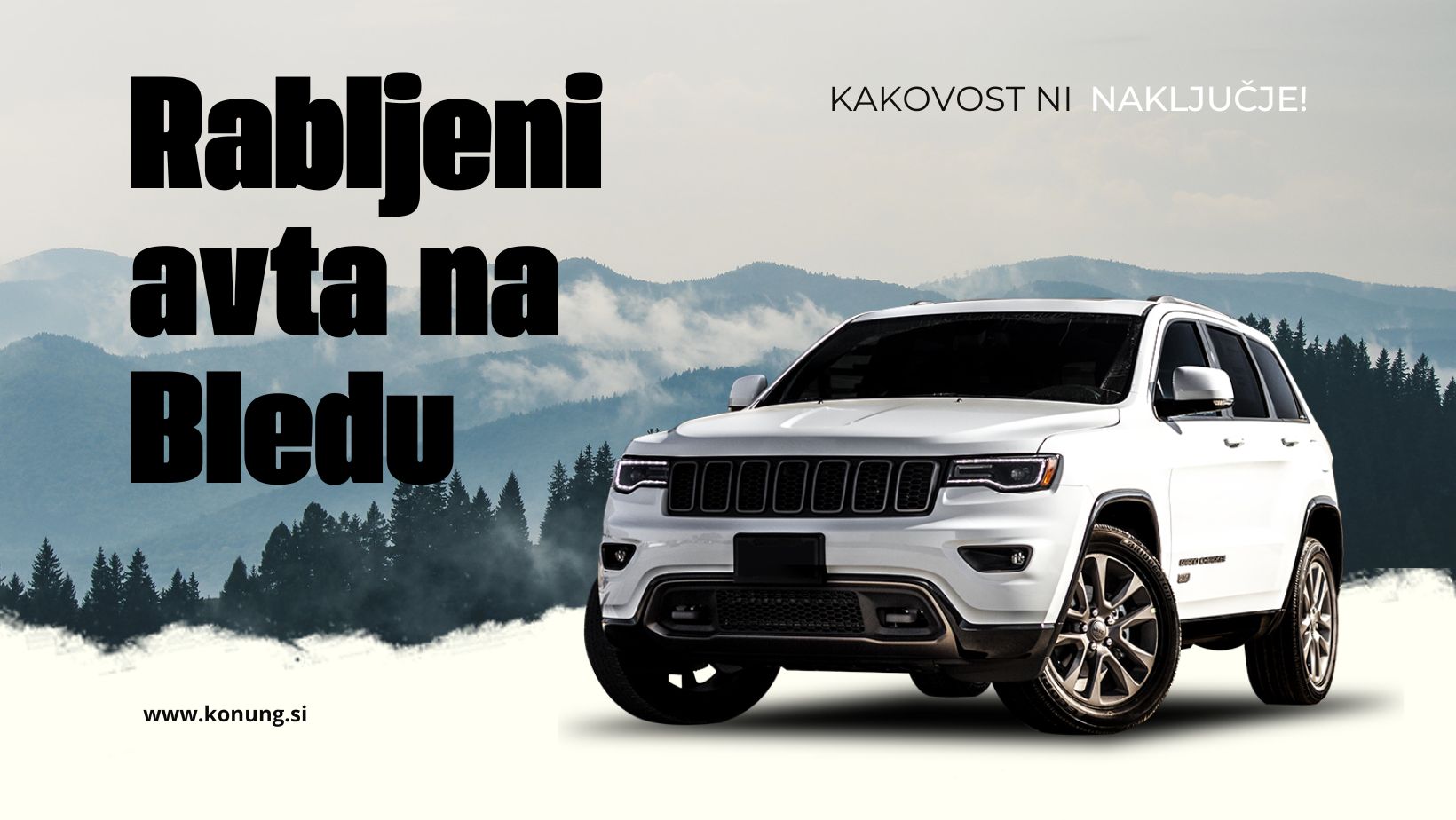 Portreti Matevž - [KONJ] plemenito bitje, ki ga vedno rad rišem ...