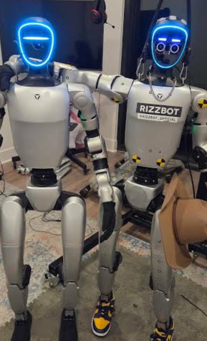 Rizz-bot