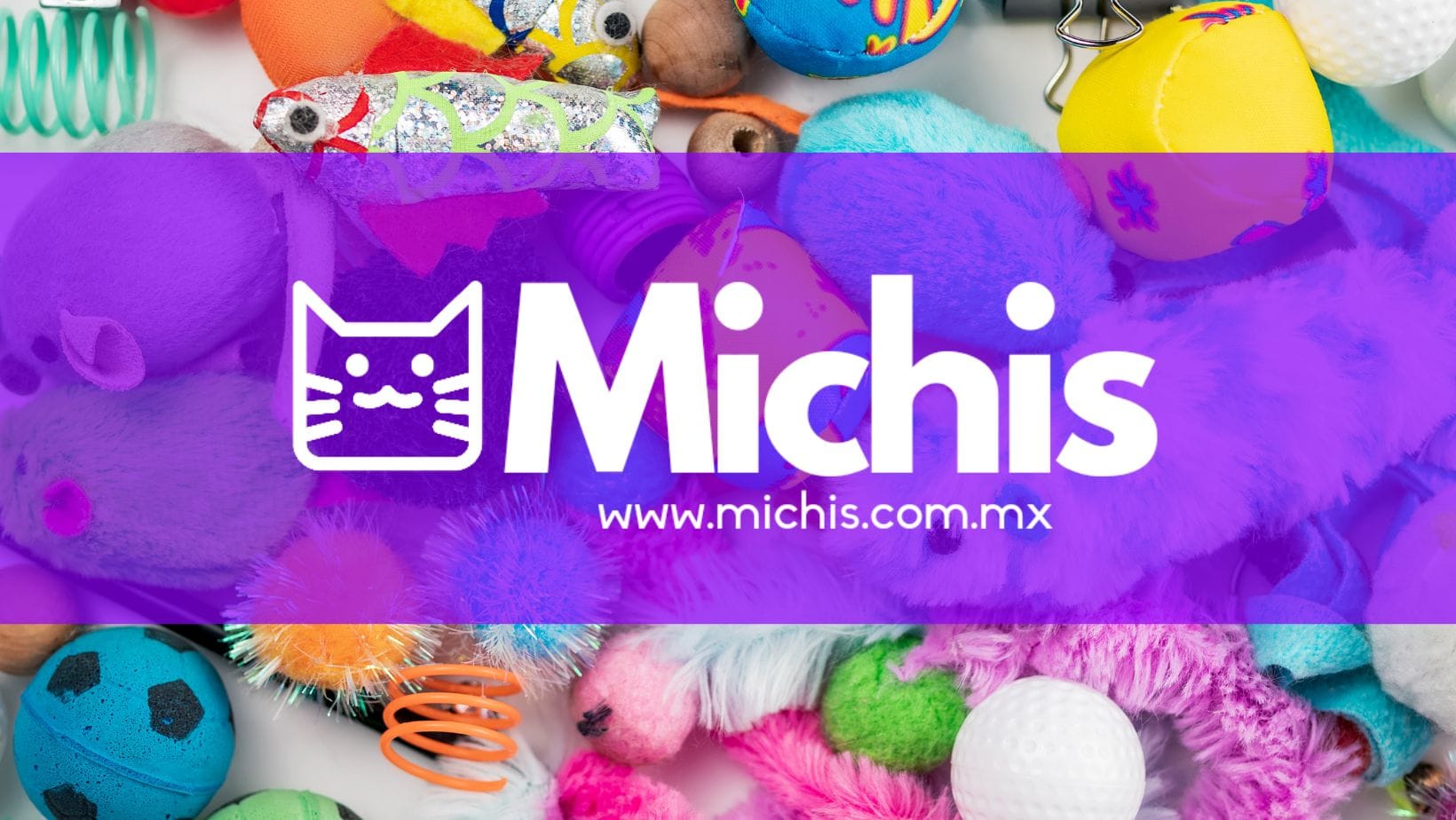 michis.com.mx | Celaya