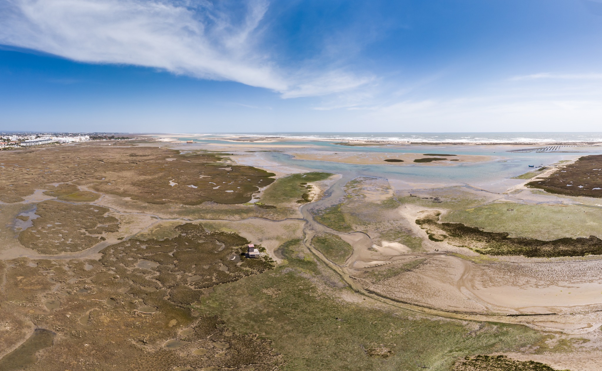 Comissão de Cogestão do Parque Natural da Ria Formosa