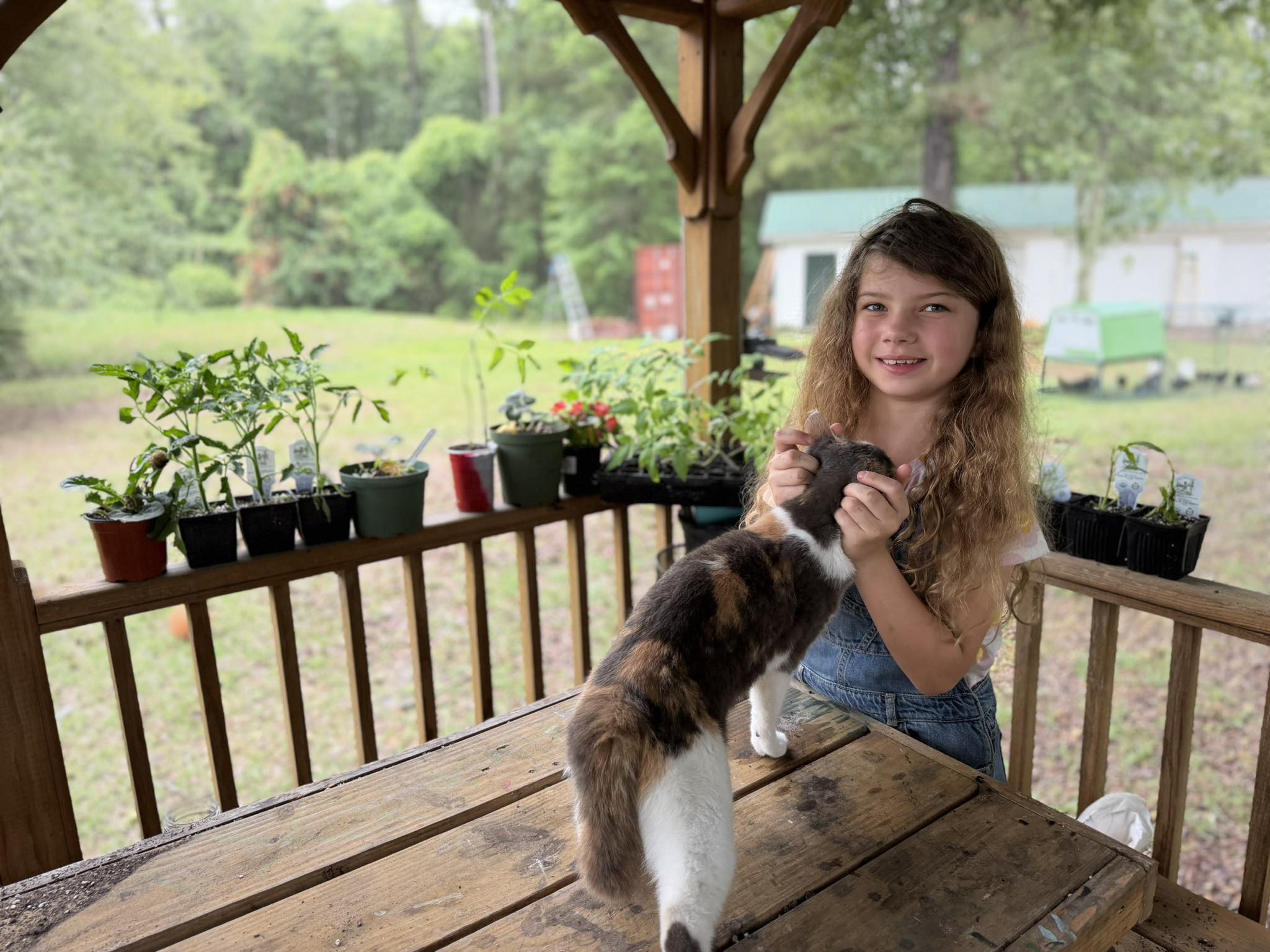 Before and After: Stunning Visual Proof of Miracles from Adelynn's Plant Rescue