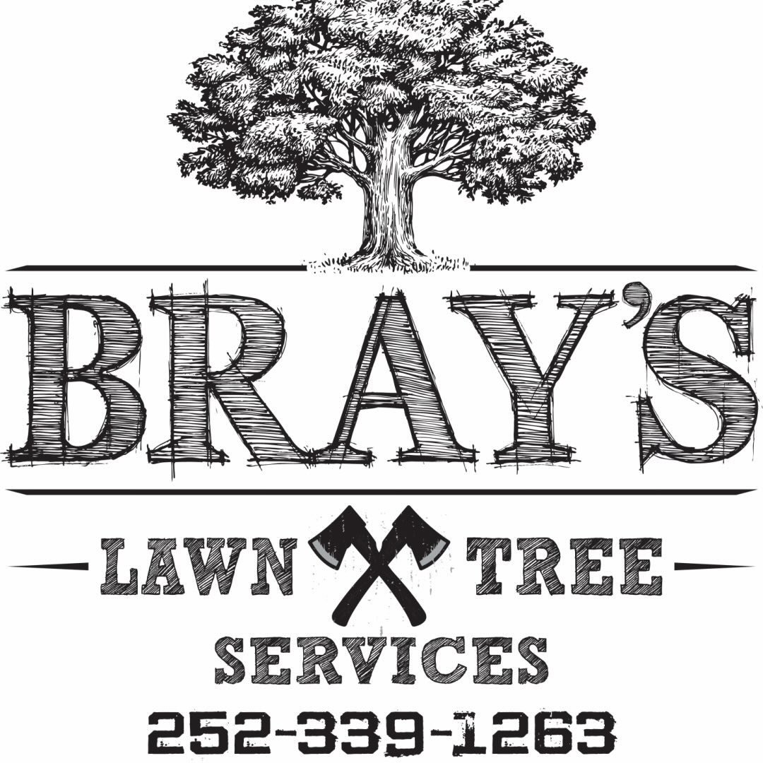 Brays Tree Service 252.339.1263 | Douglas Bray