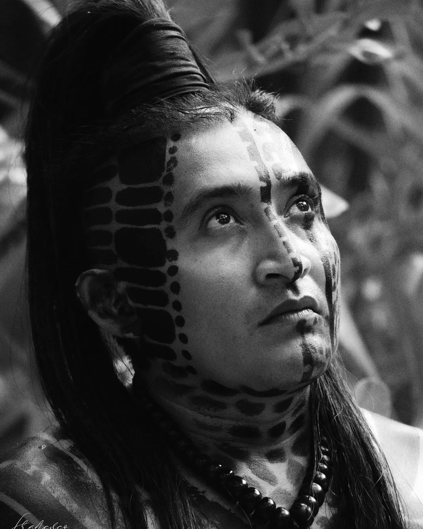 El ultimo MAYA