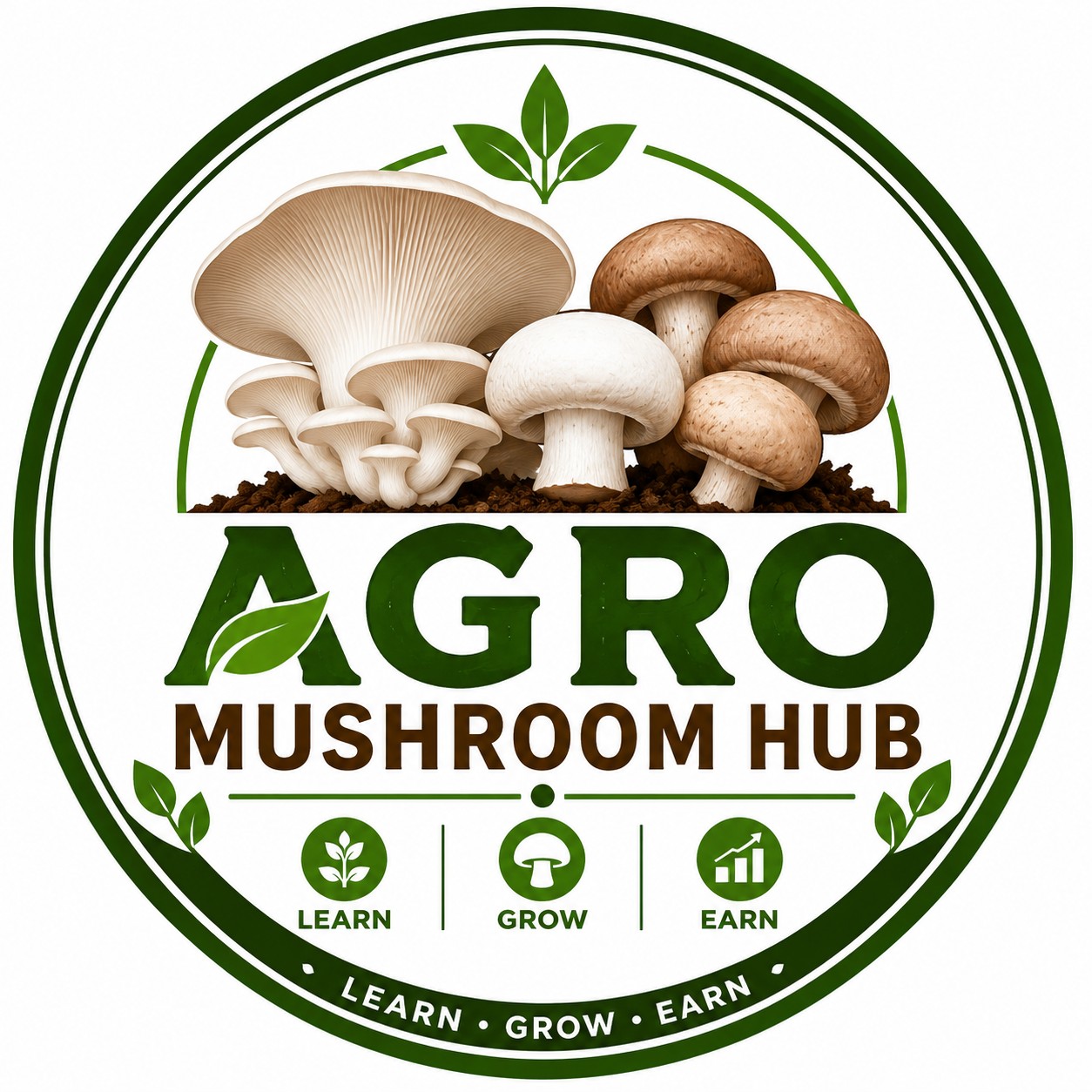 🍄 Button Mushroom Farming Training! 🍄 Learn professional cultivation ...