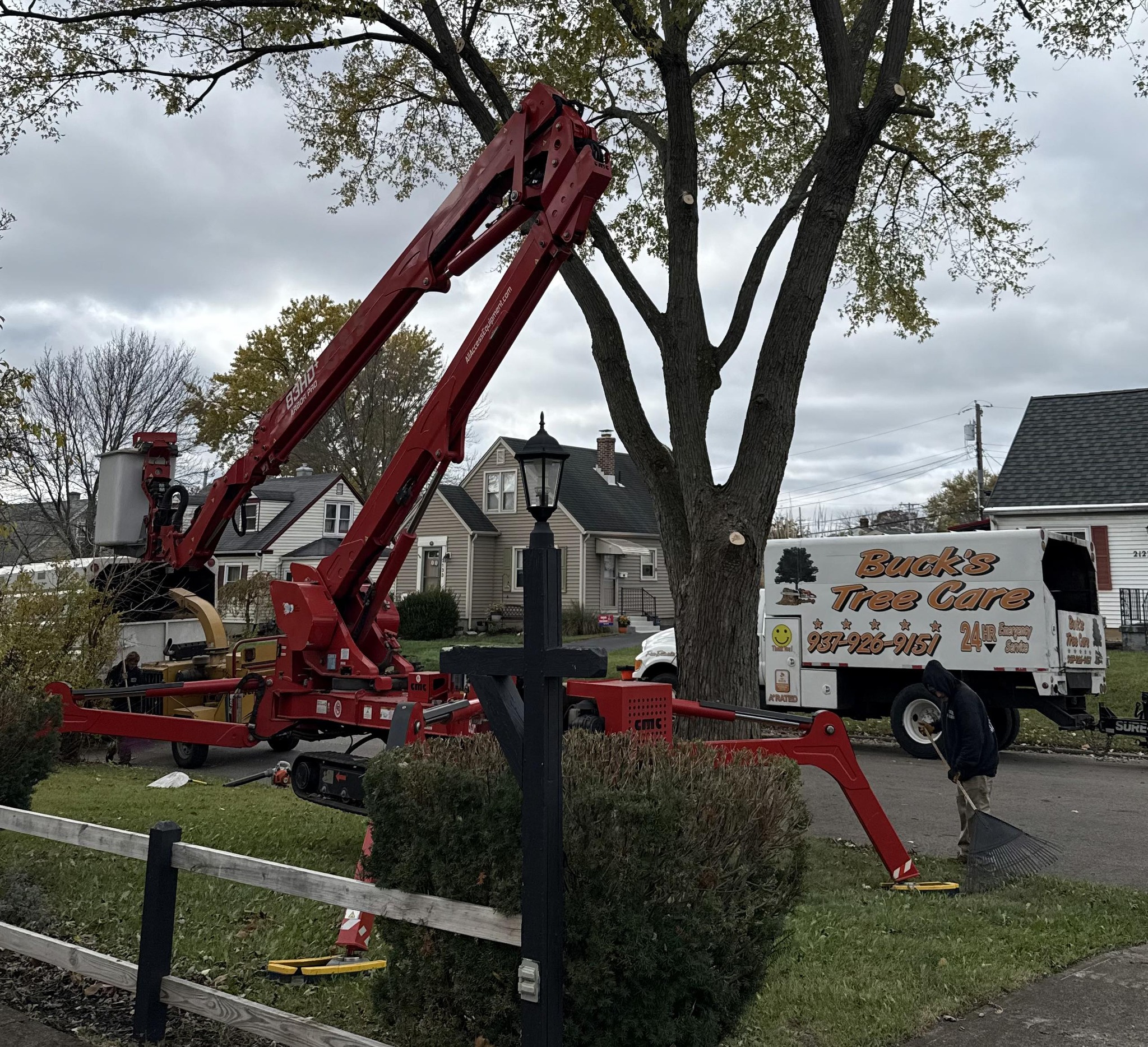Bucks Tree Care