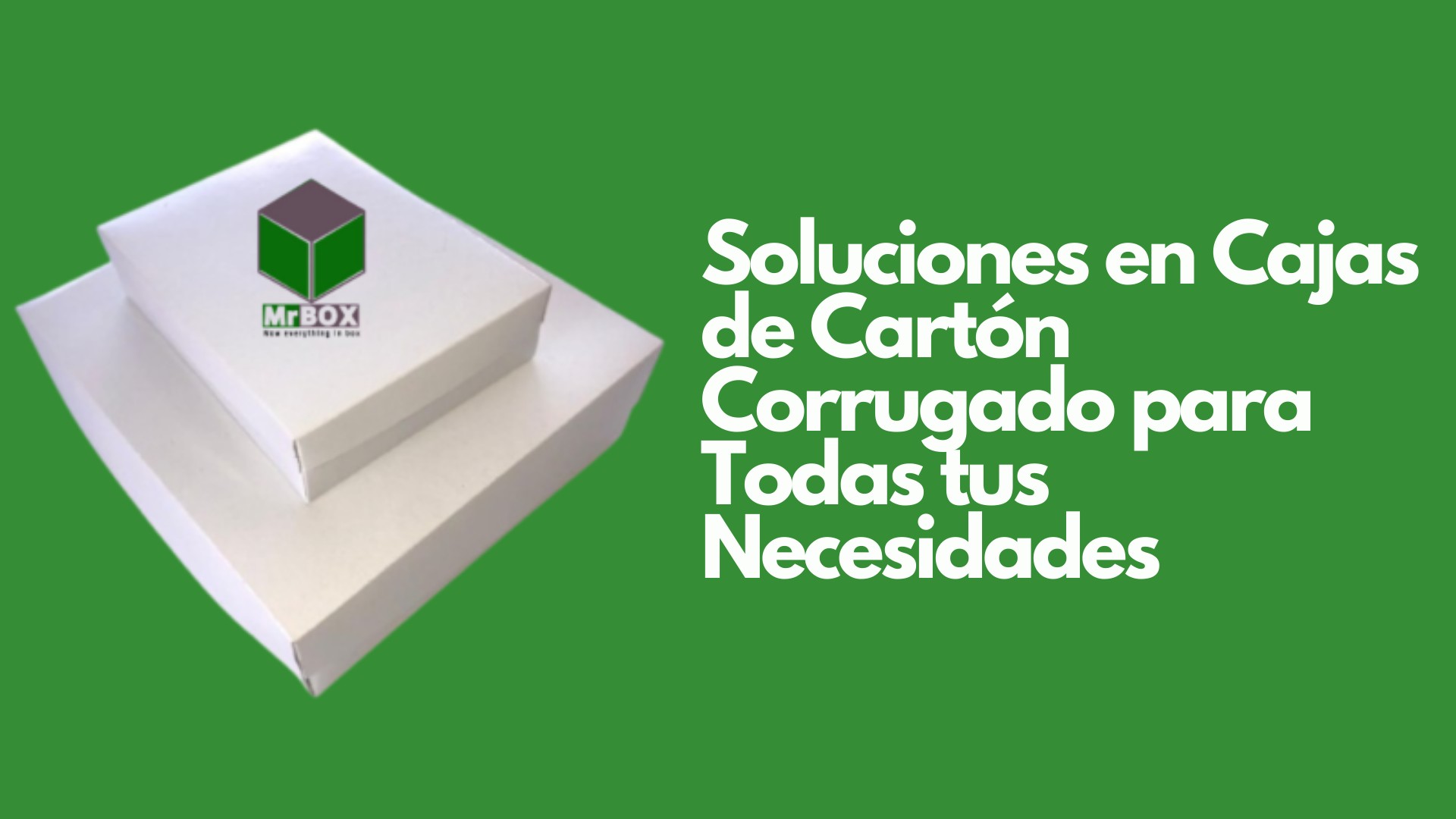 Mr Box - Cajas & Empaques de Cartón | Durango