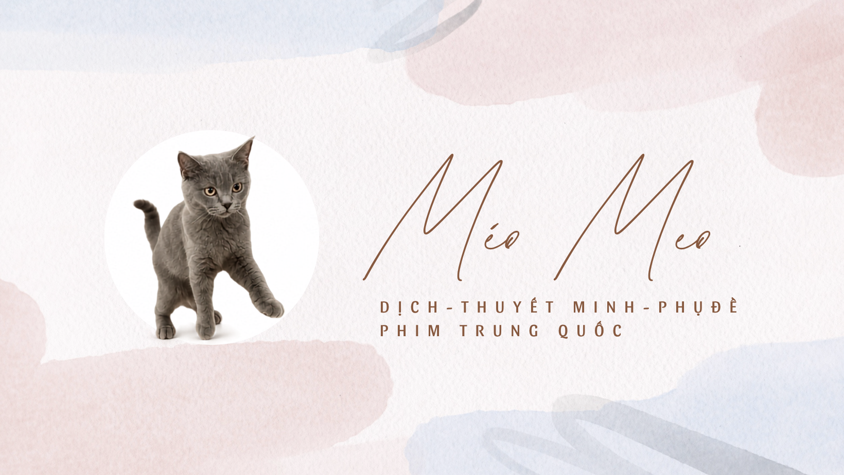 Méo Meo dịch phim
