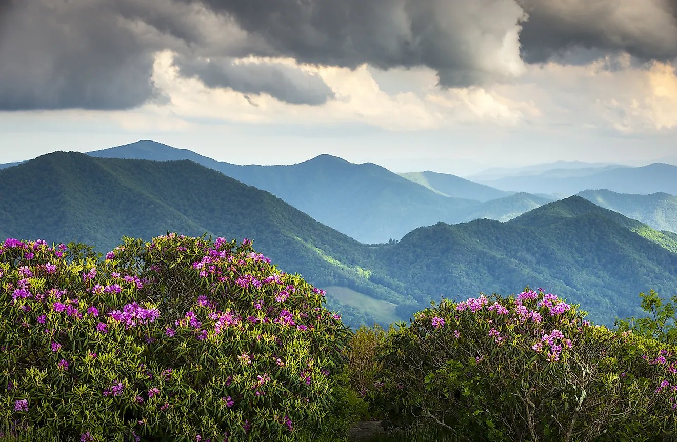 Appalachian Prepper